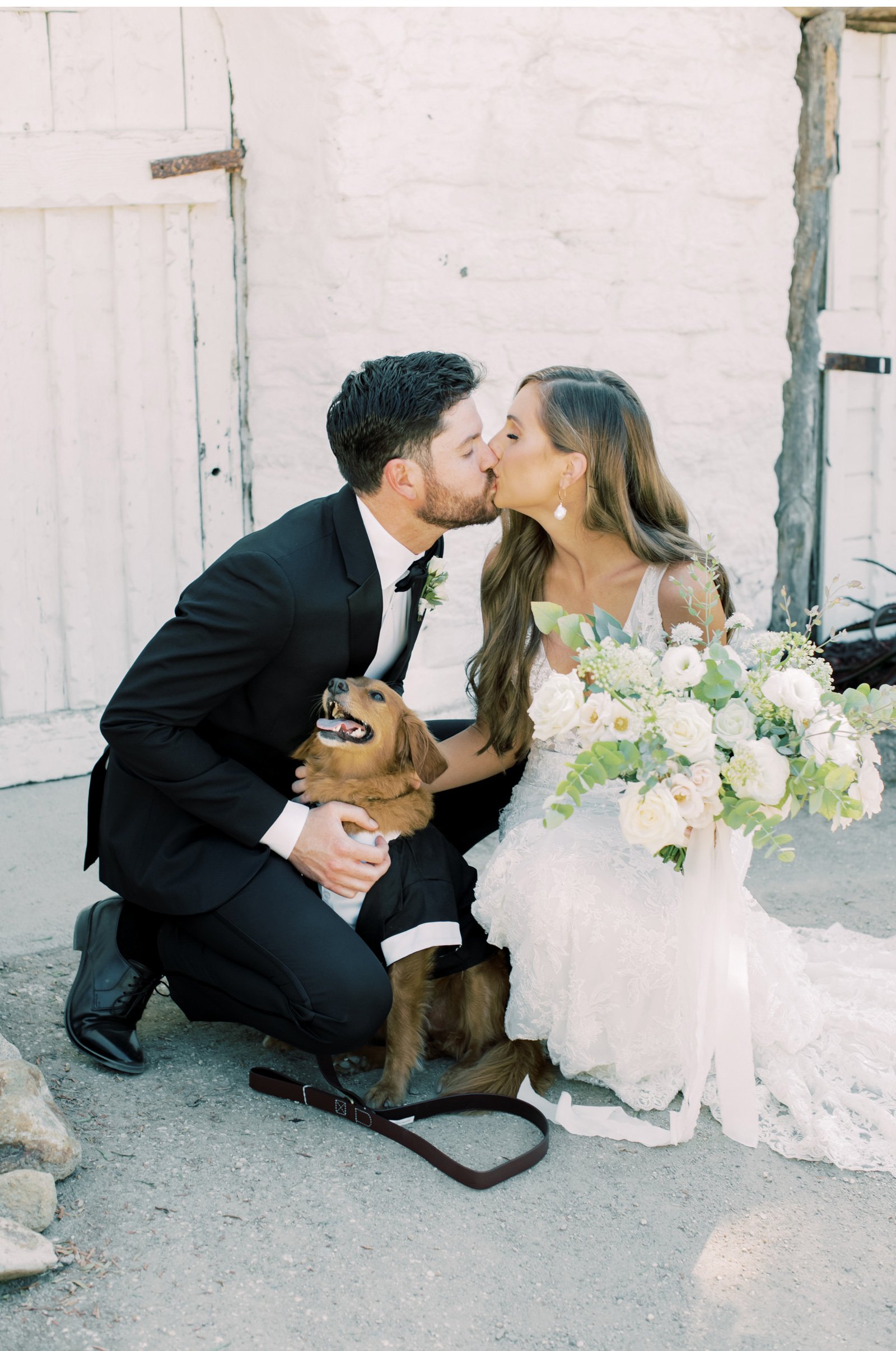 Dog-Wedding-Photo-Clean-and-Modern-Wedding-Photography-High-End-Wedding-Photographers-Bright-and-Airy-Photography-Southern-California-Events-Bride-and-Groom-Photo_02.jpg