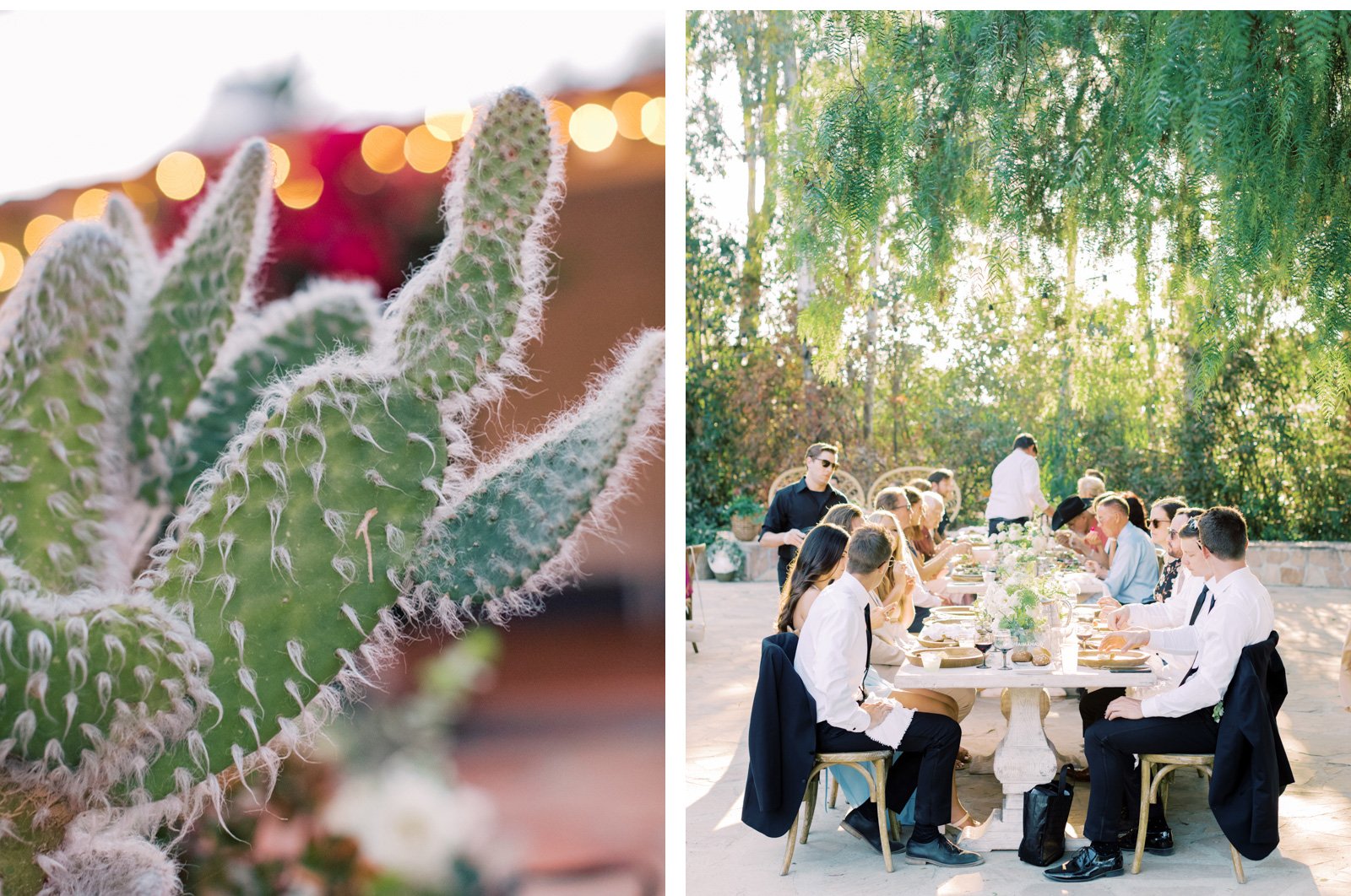 Beautiful-Wedding-Moments-Al-Fresco-Weddings-Soutthern-California-Brides-West-Coast-Wedding-Photographers-Leo-Carillo-Events-Bright-and-Airy_06.jpg