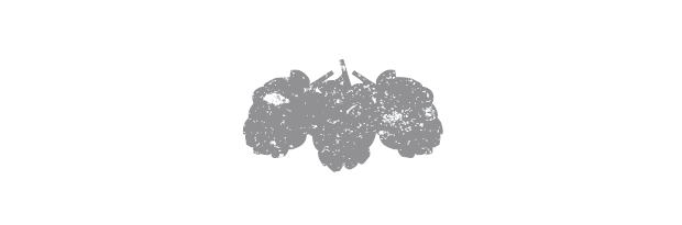 RCL_berry.gif
