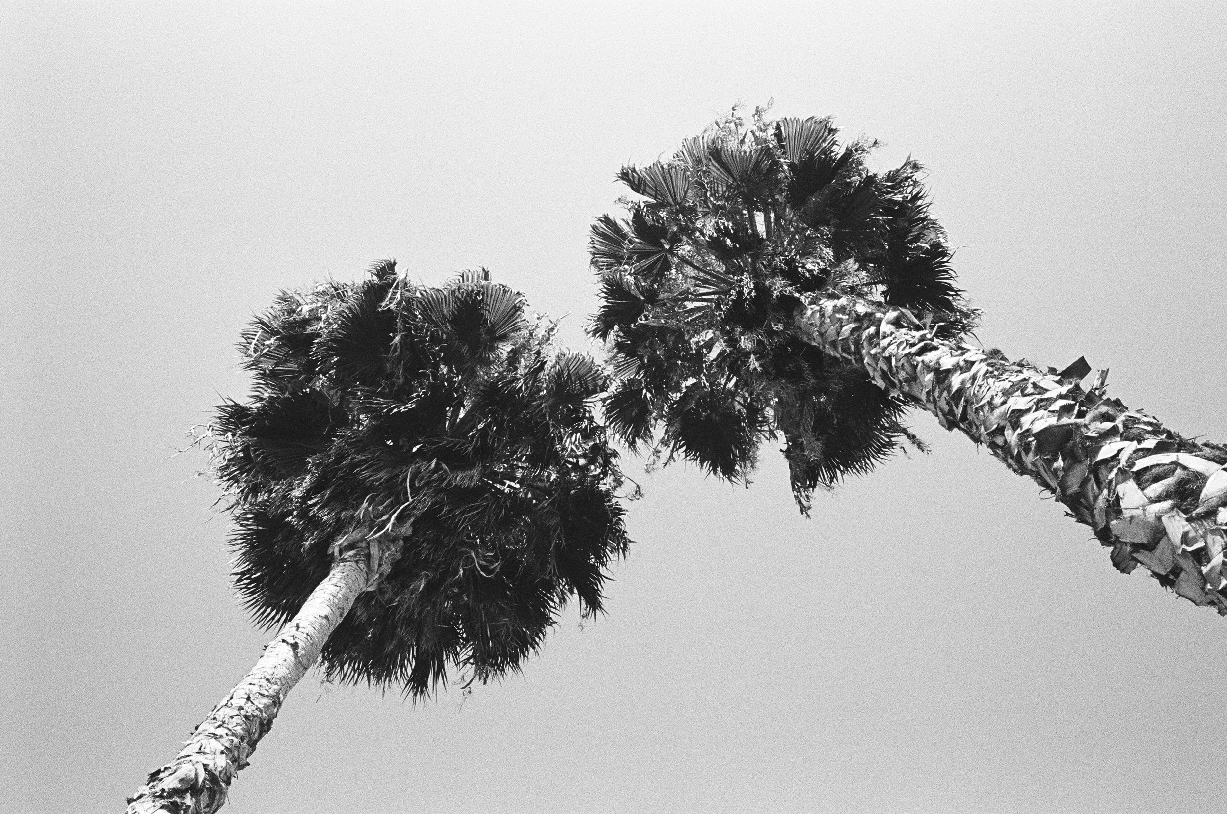 06050022.JPG