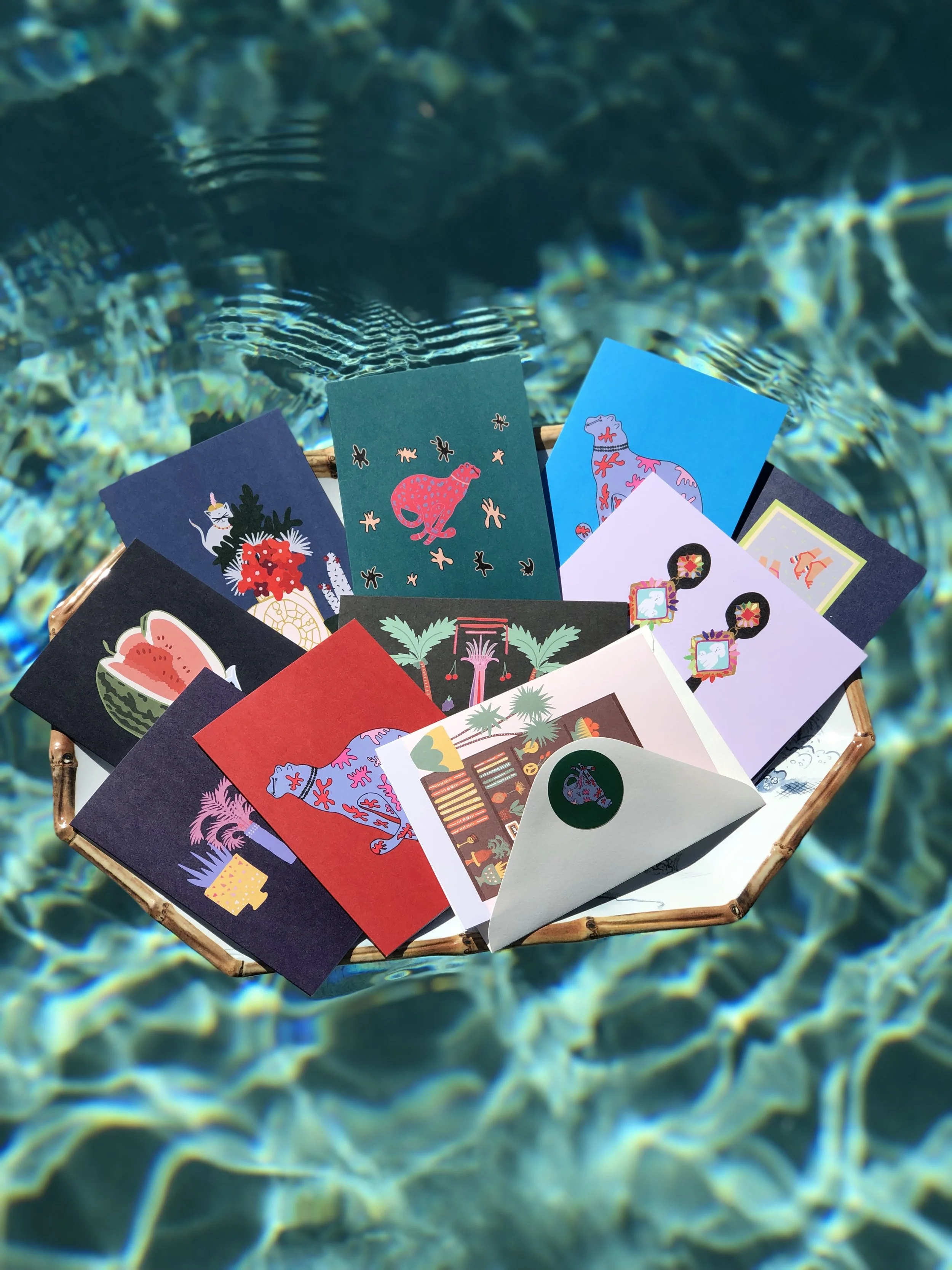 Surprise Me Collection