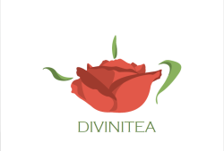 divinitea3.png