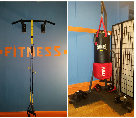 bag trx row.jpg