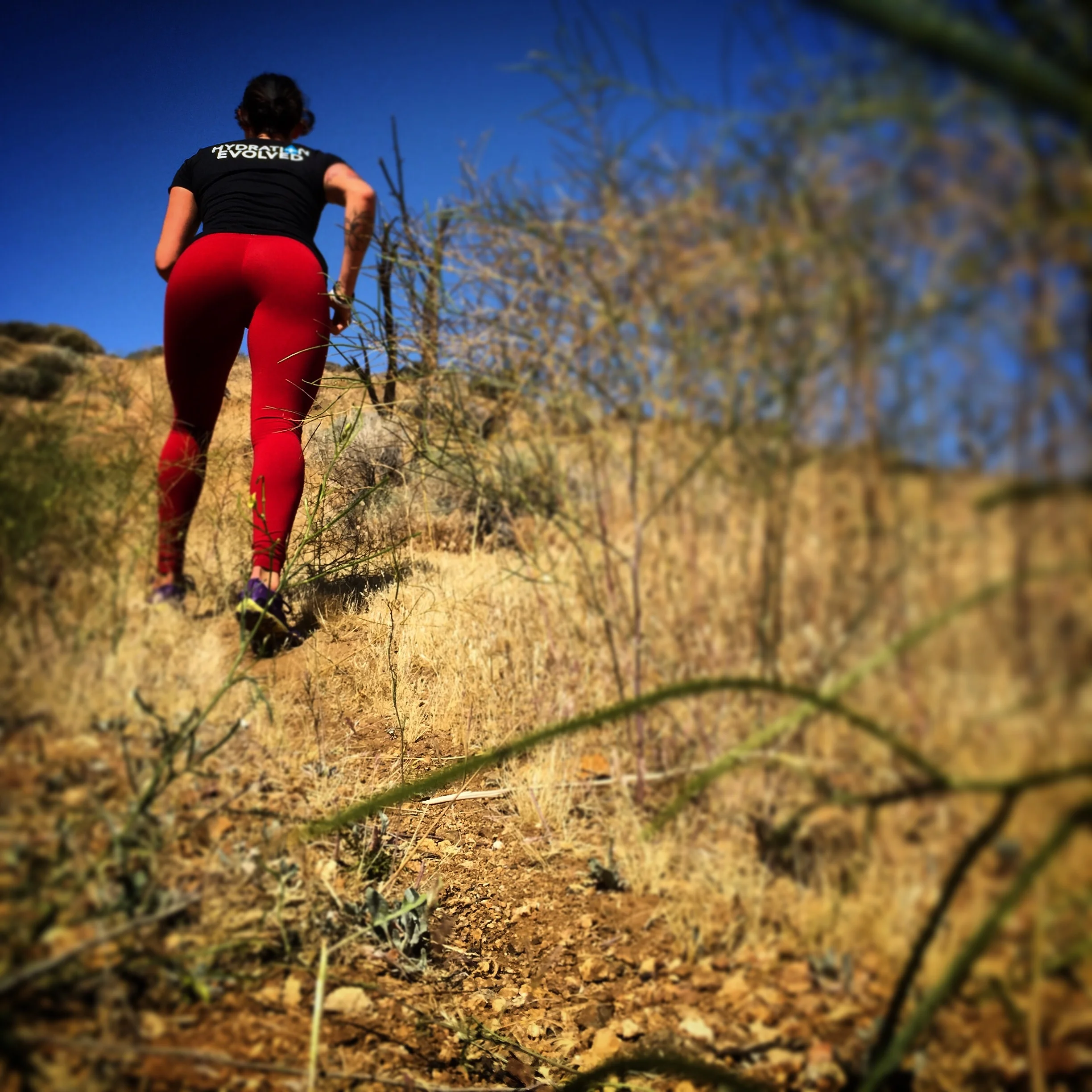 Hill repeats !