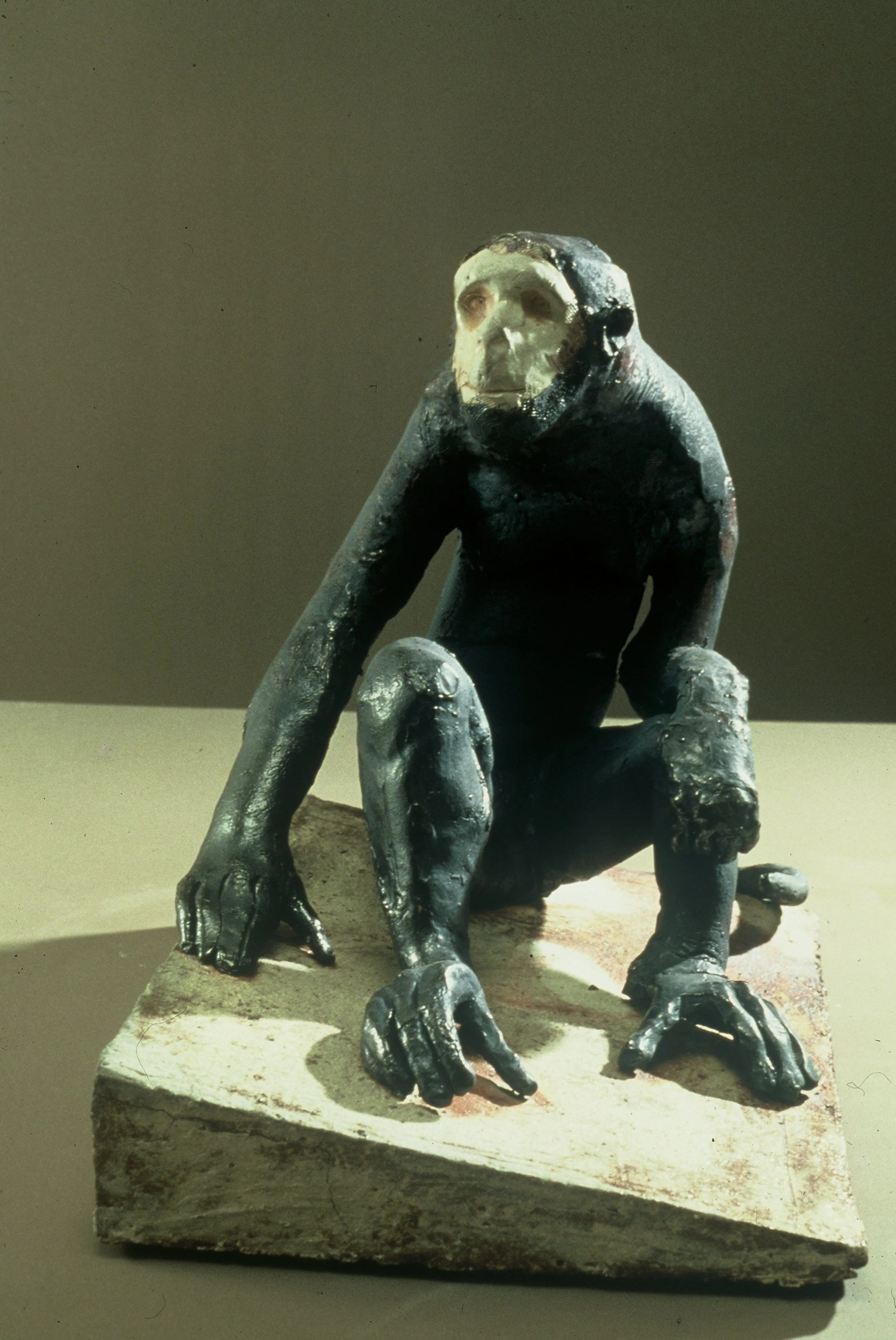 black monkey white face.jpg