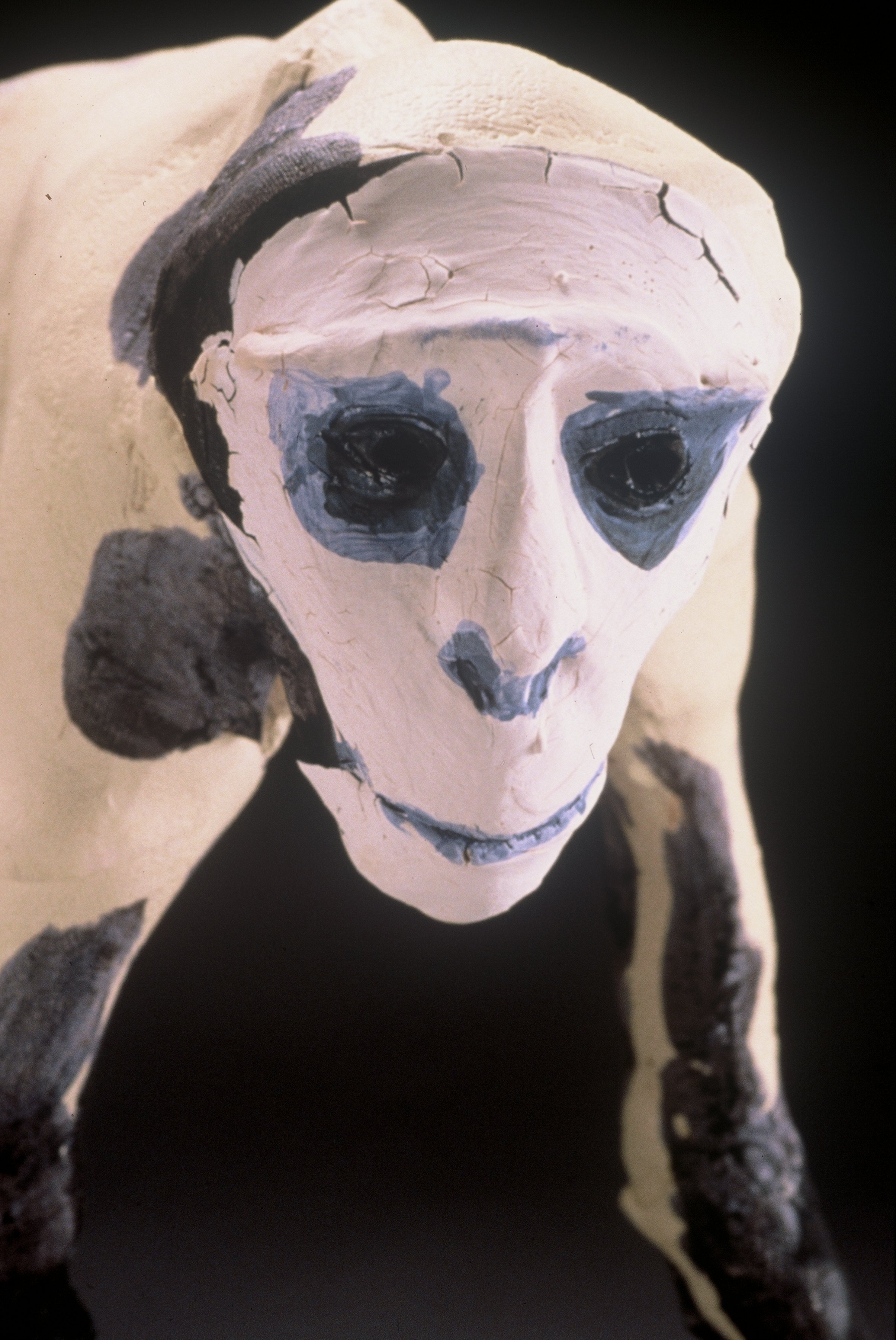 detail of skeleton monkey.jpeg
