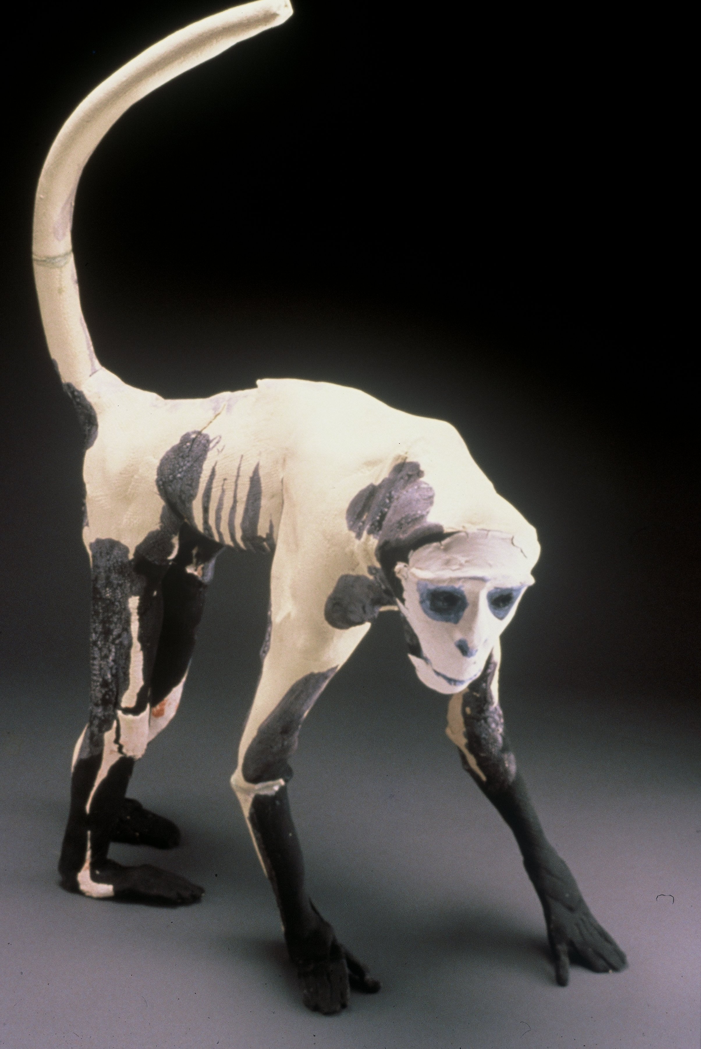 skeleton monkey.jpeg
