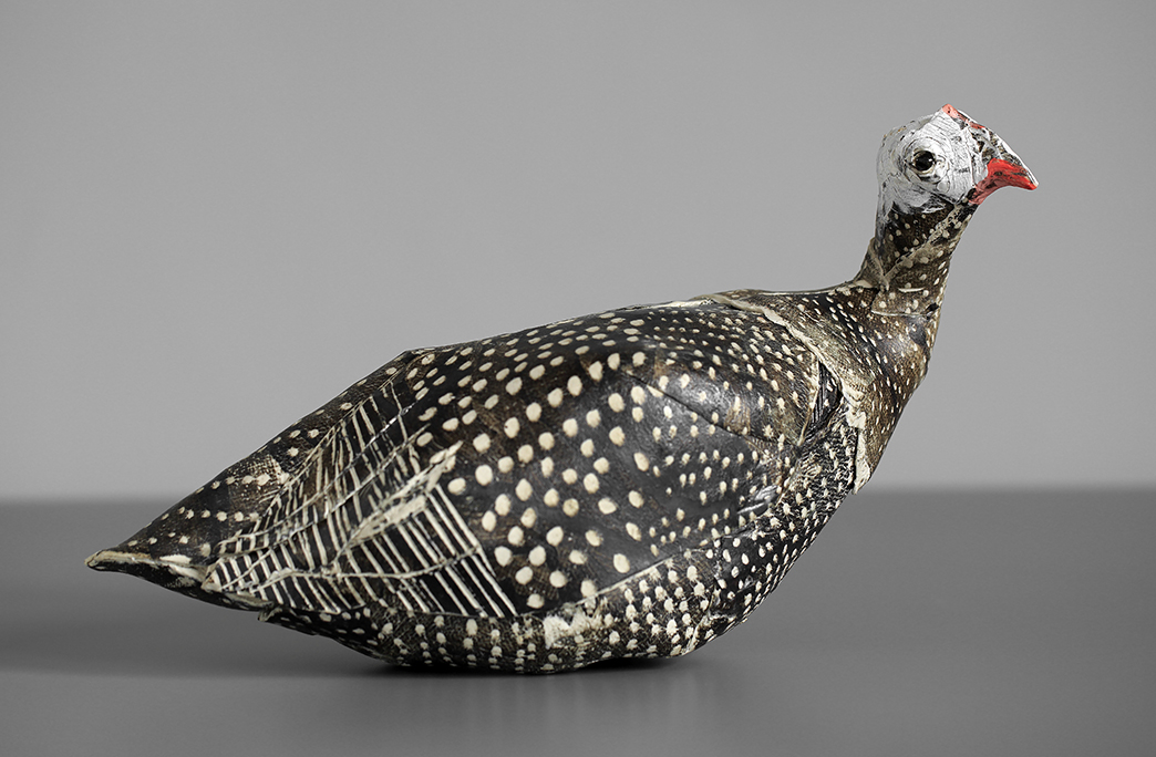 Resting Guinea Hen