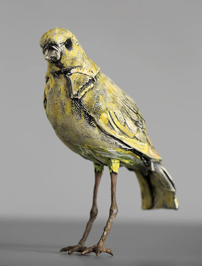 Tall Yellow Bird, Bronze Legs