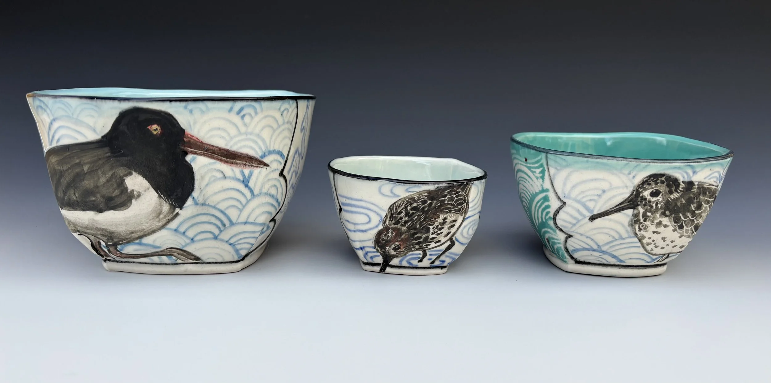 American Oystercatcher & Rockweed; Western Sandpiper & Rockweed; Purple Sandpiper 