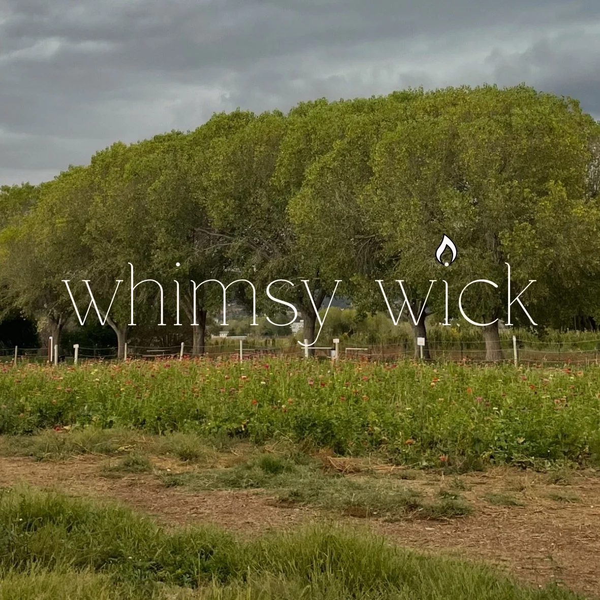 whimsy%20wick.JPG