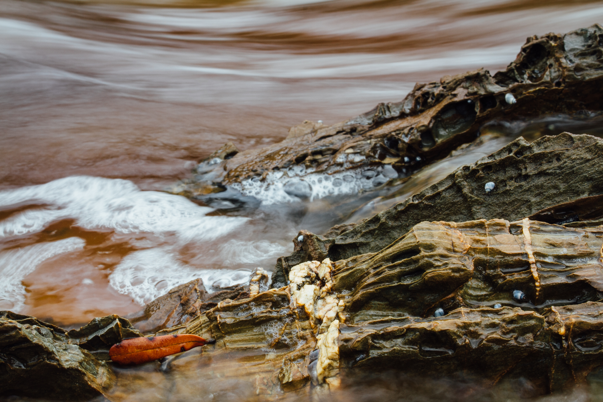 DANDI_CROAJINGALONG-0142.jpg