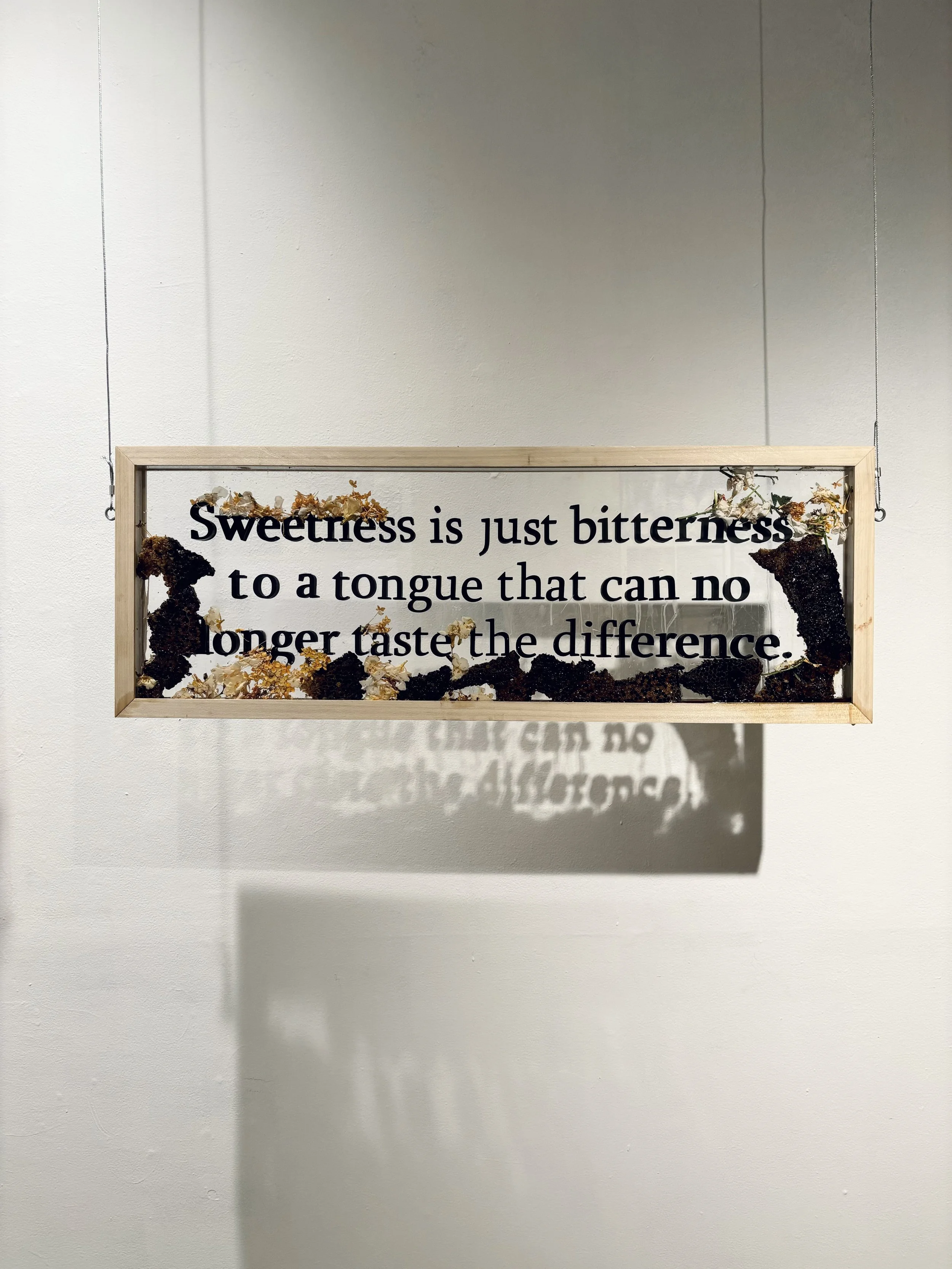 sweetness bitterness.jpg