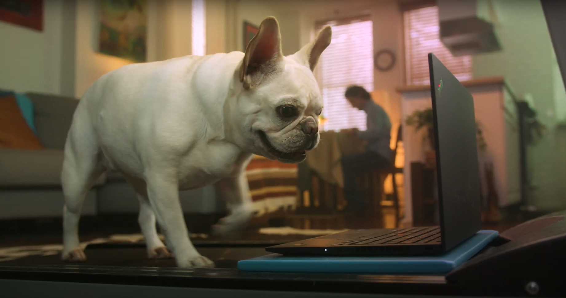 Lenovo "Smarter in Place"