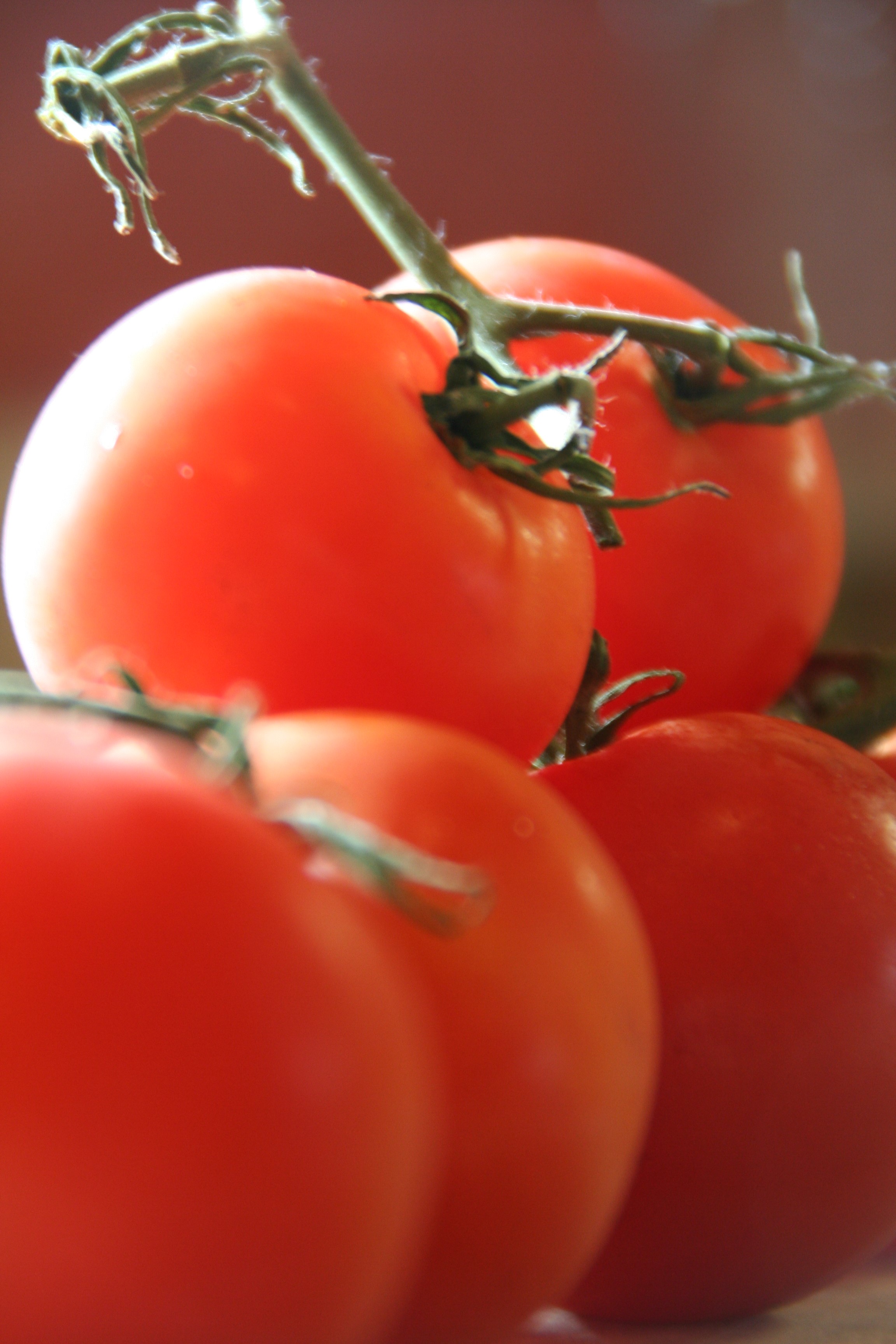 Tomato.jpg