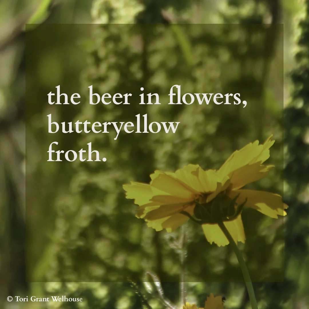 Beer in Flowers.jpg
