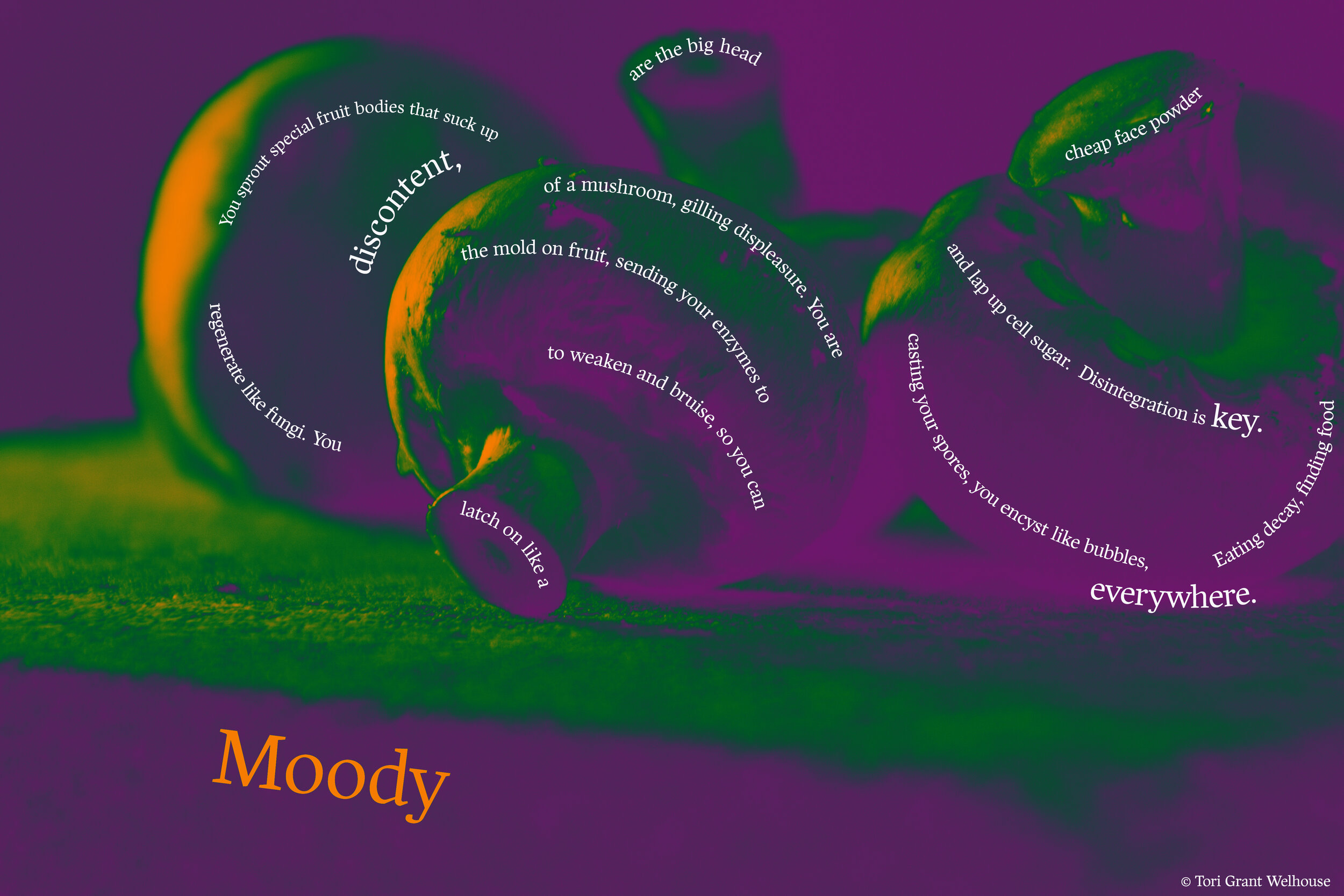Moody.jpg