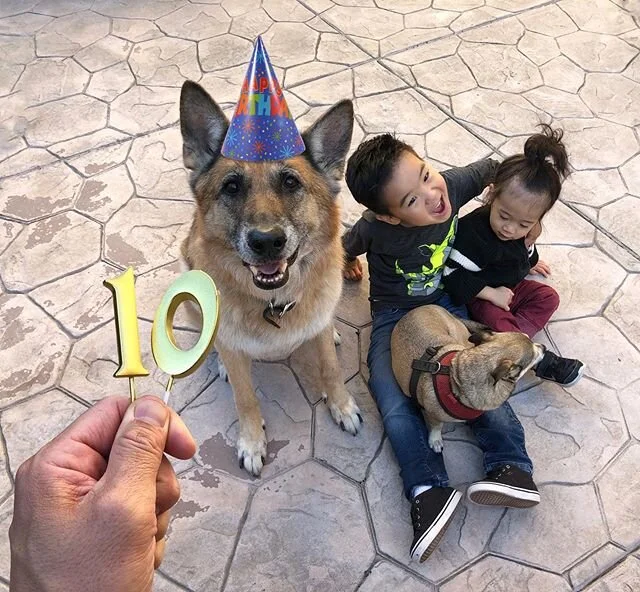 🎂 Happy 10th Birthday Dunder. We love watching you grow. 🎂