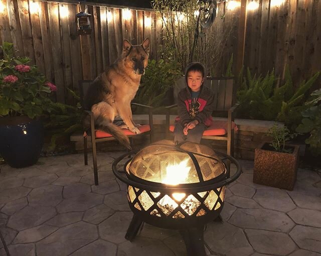 A boy and his dog......and a bag full of marshmallows. 🔥❤️