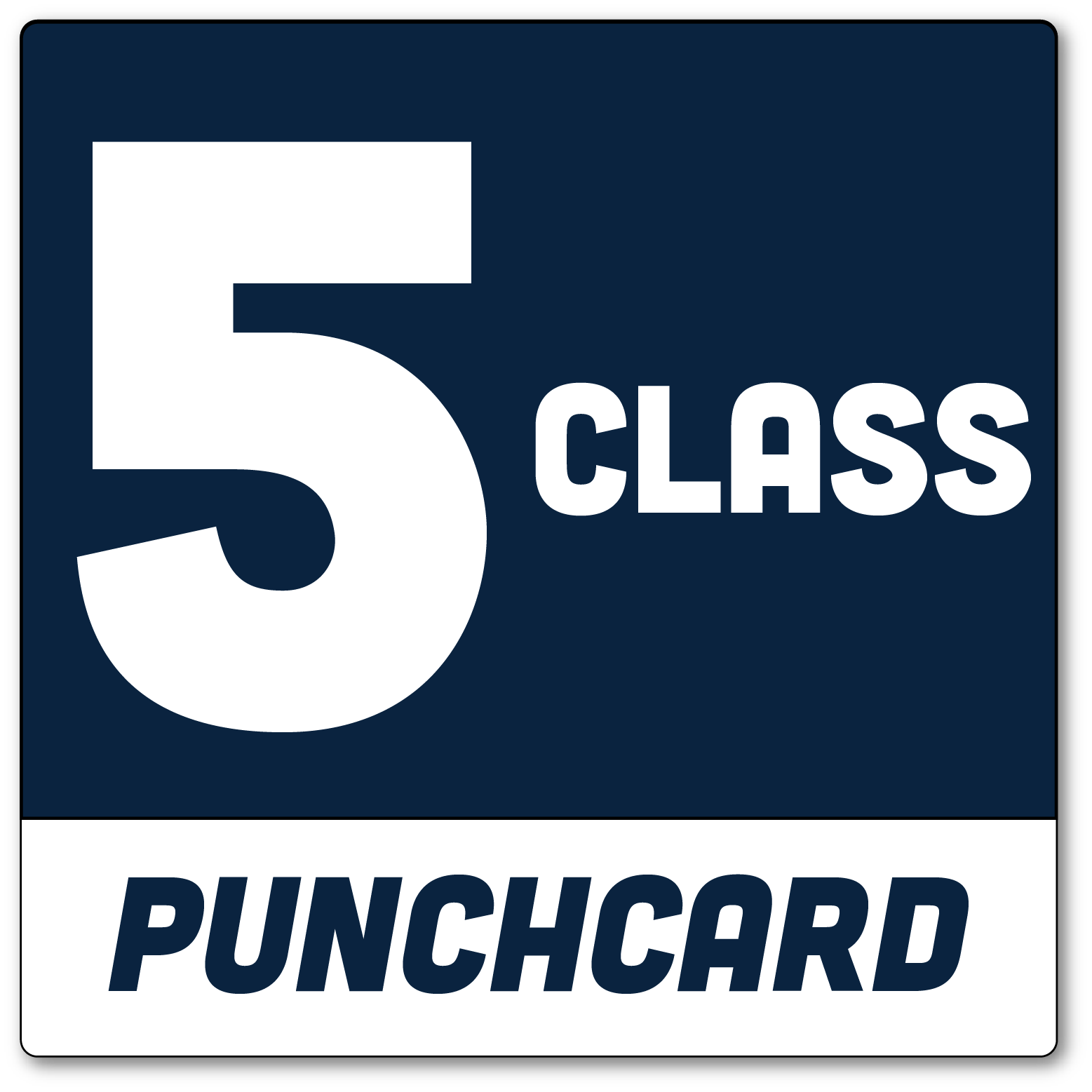 5-class-punchcard.png