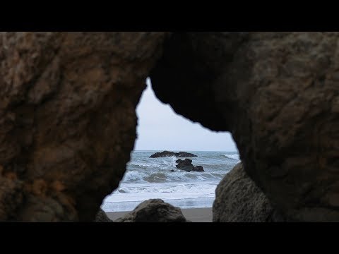 Liturgical Meditations | Advent