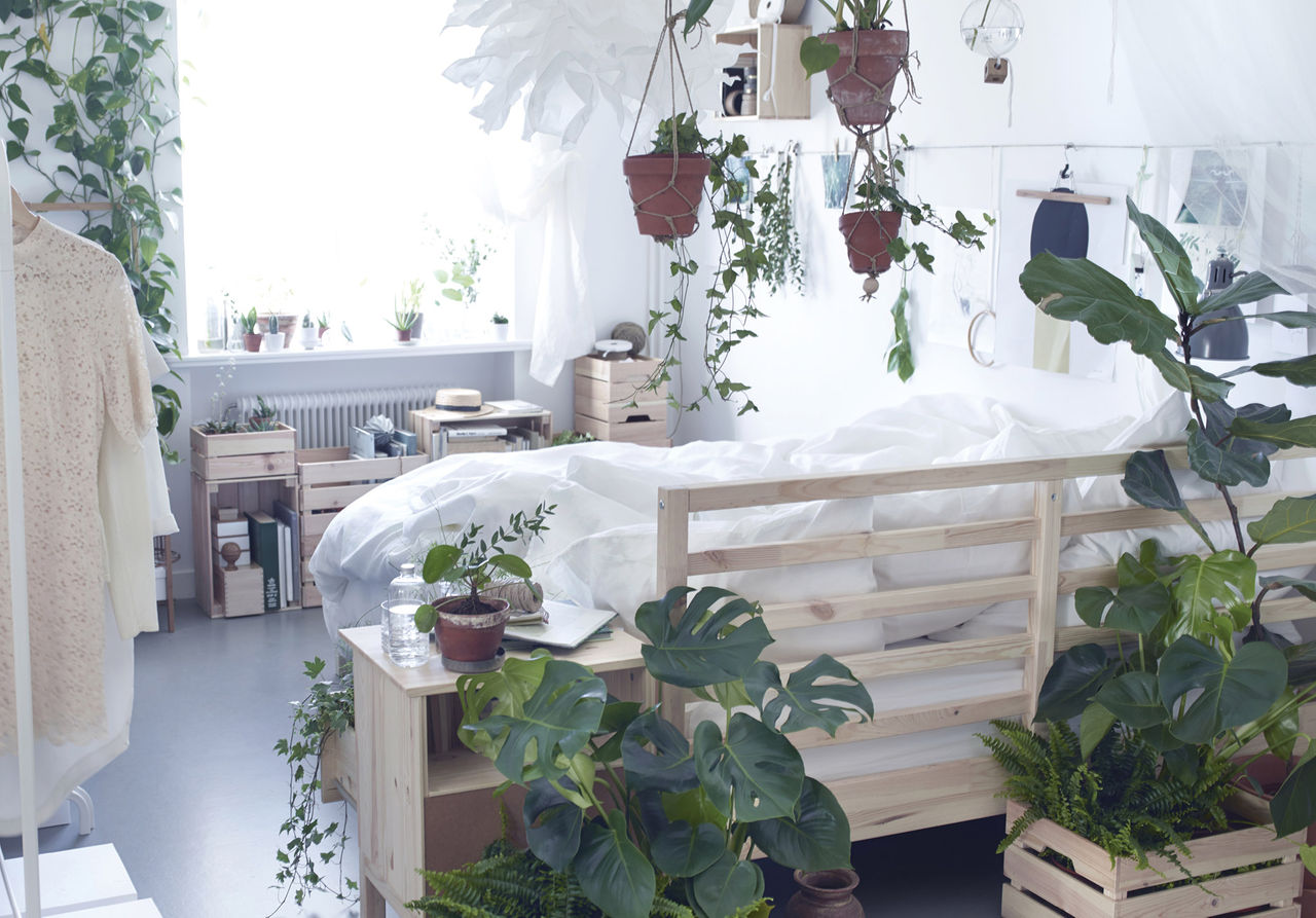 ikea-plants-in-the-bedroom-__1364309659943-s41.jpg