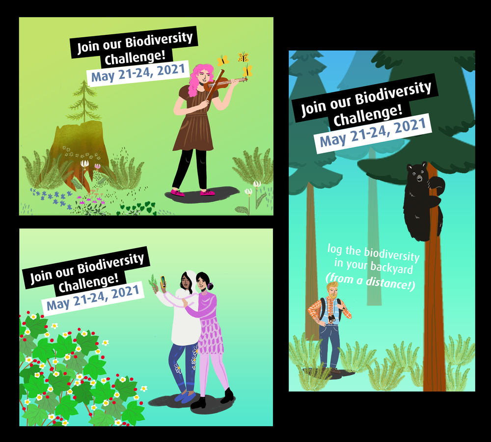 Biodiversity-Combo.png