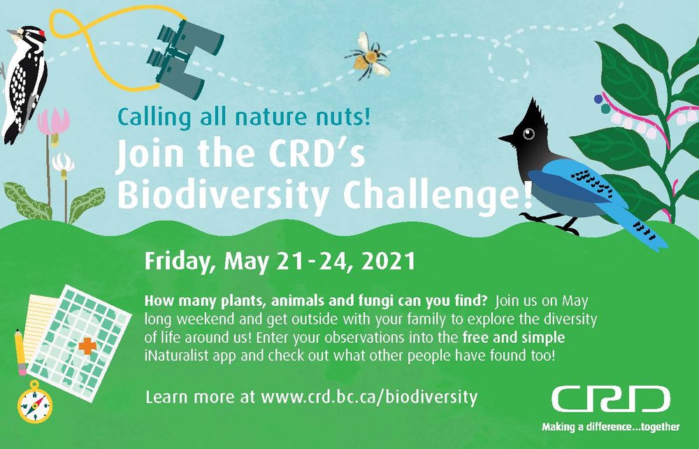 Biodiversity-CRD-Biodiversity-Challenge.jpg