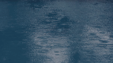 Animated GIF-downsized_large (17).gif