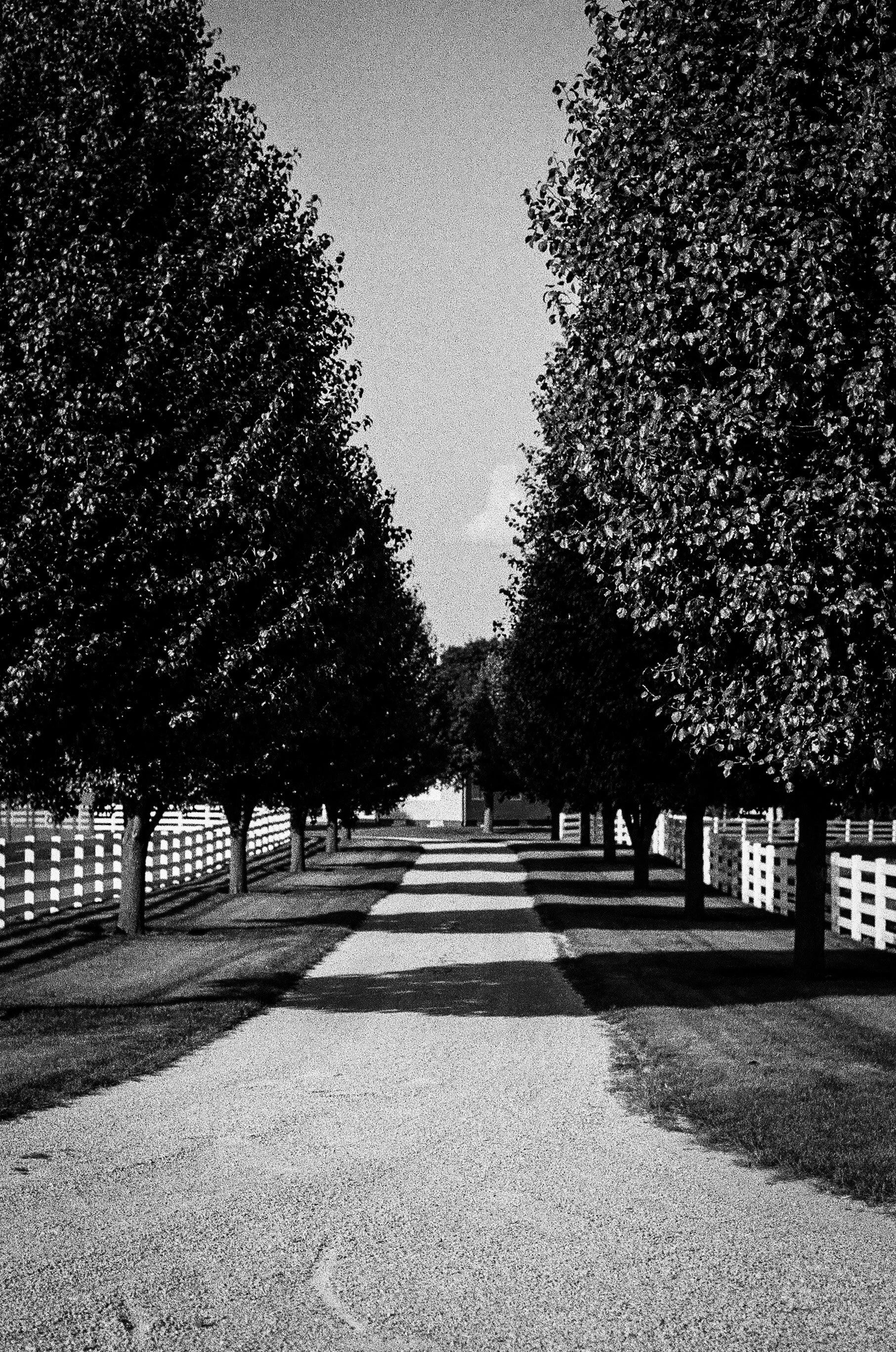 Shipshewana, IN. 2021