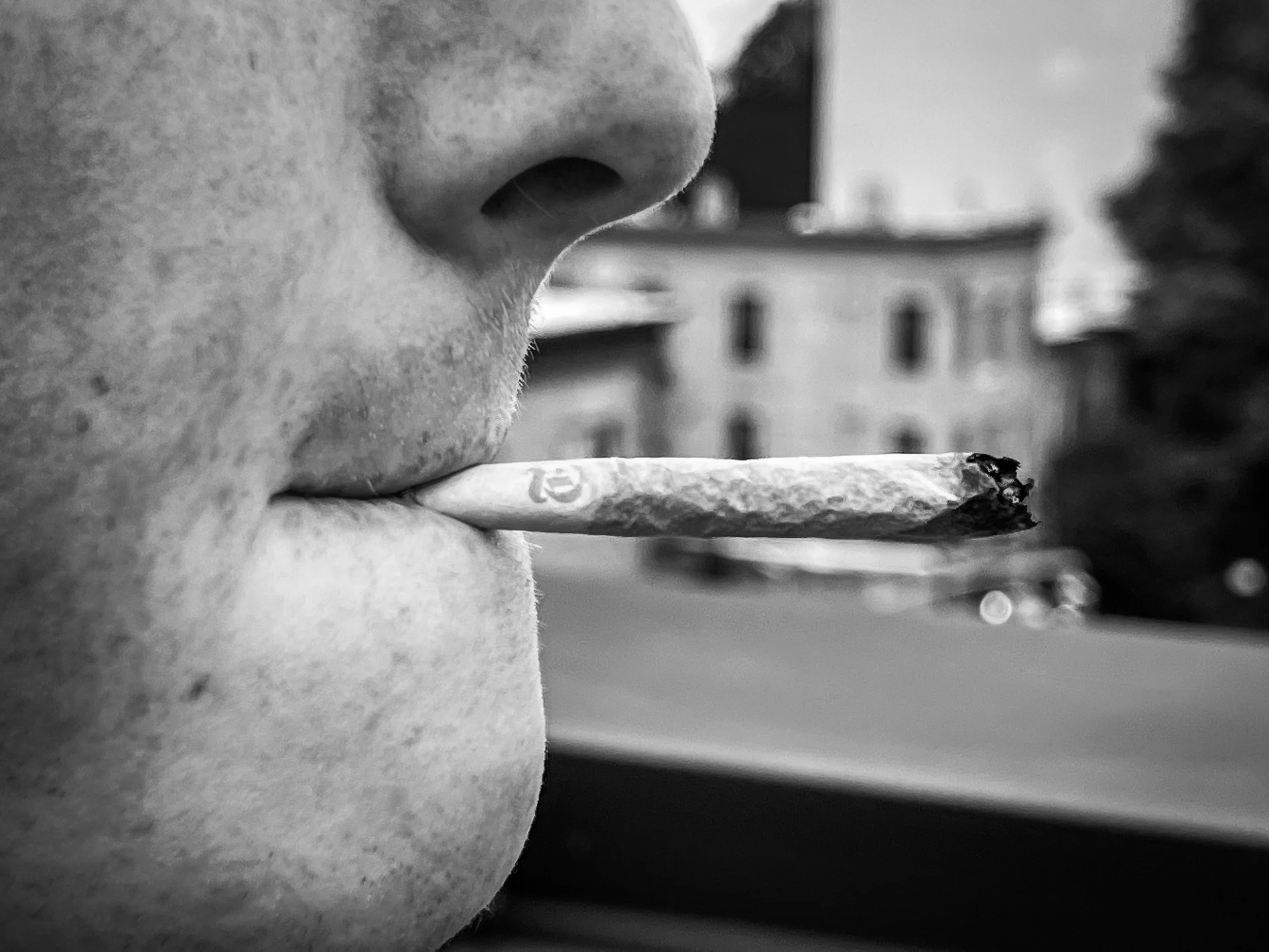 All News That's Fit To Smoke