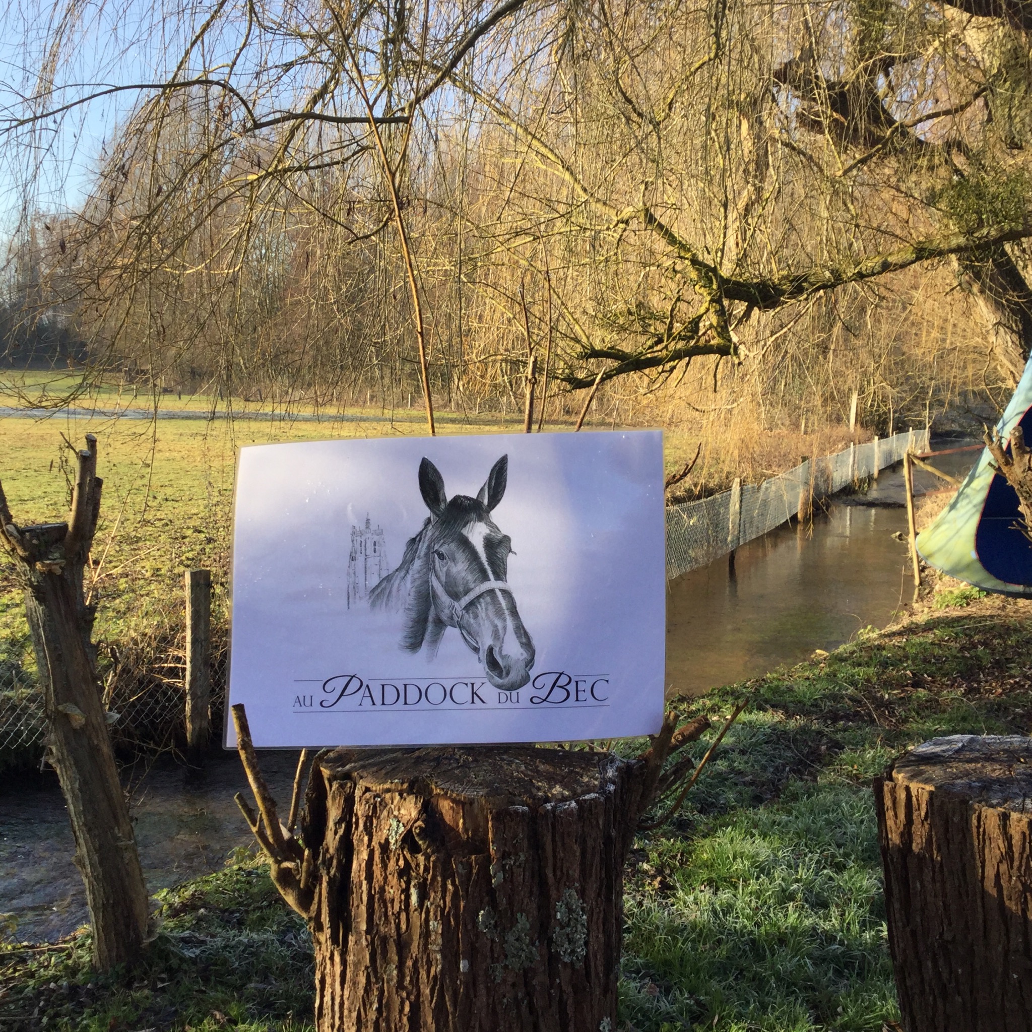 Bienvenue. Venez chez moi. Au Paddock du Bec