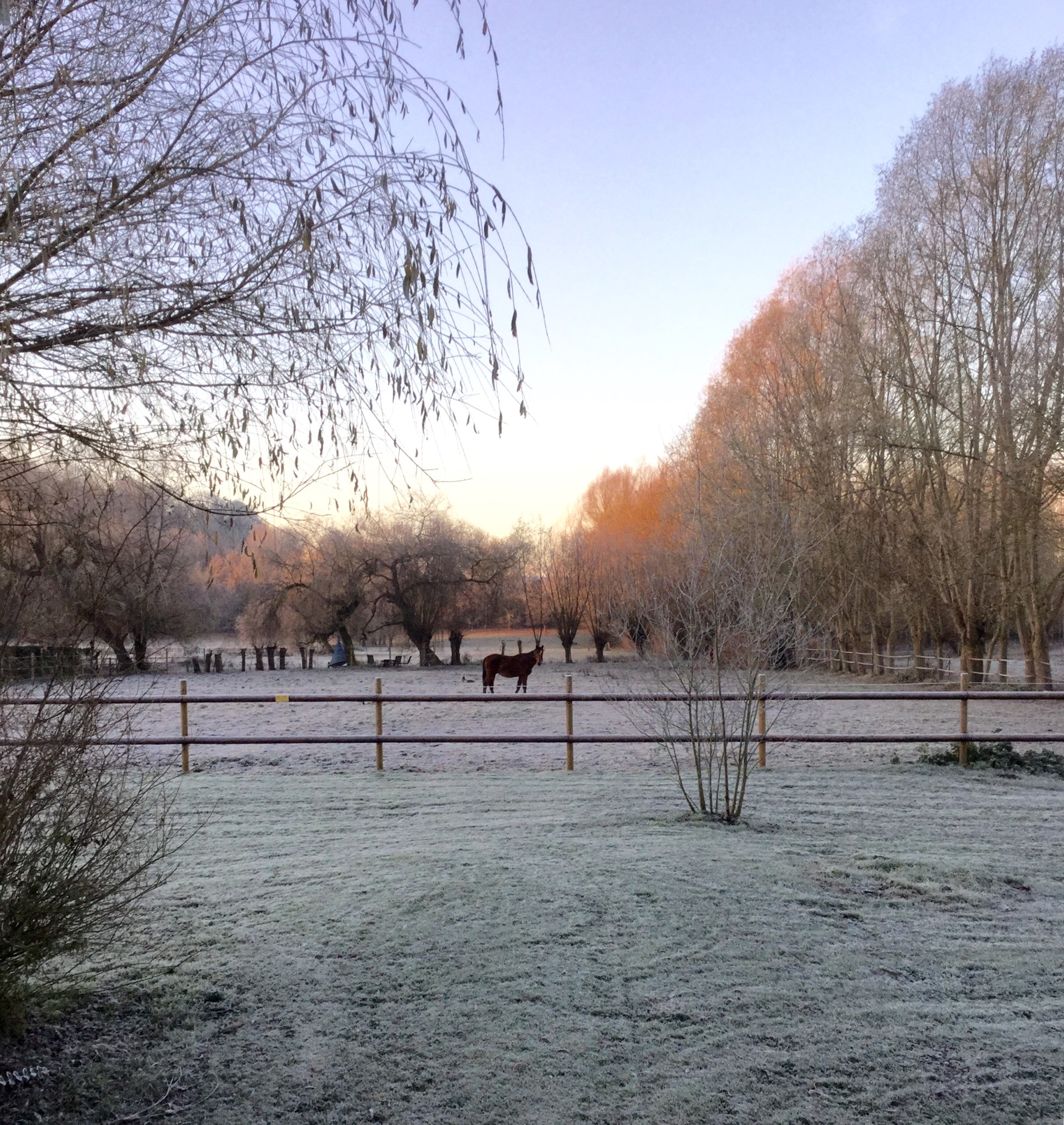 Le Paddock en Hiver