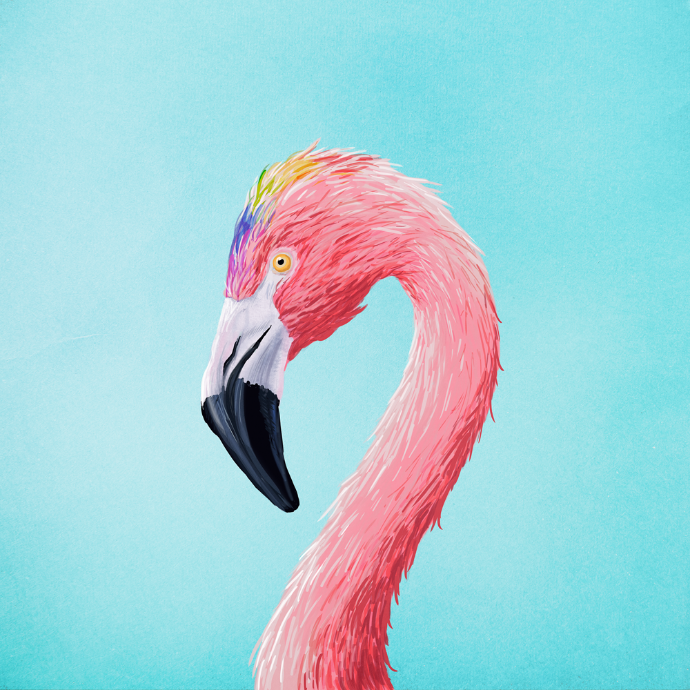 kennethlarsen-flamingo.png