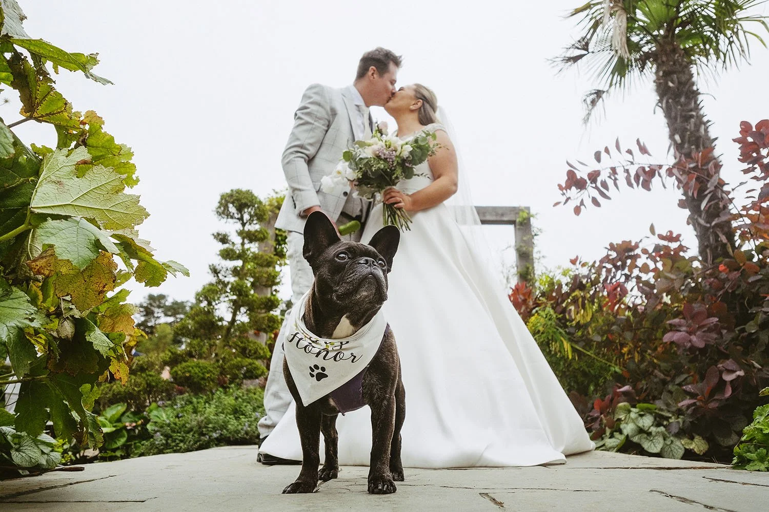 Le Petit Chateau wedding: bride and groom kissing in a garden while their French bulldog stands between them.
