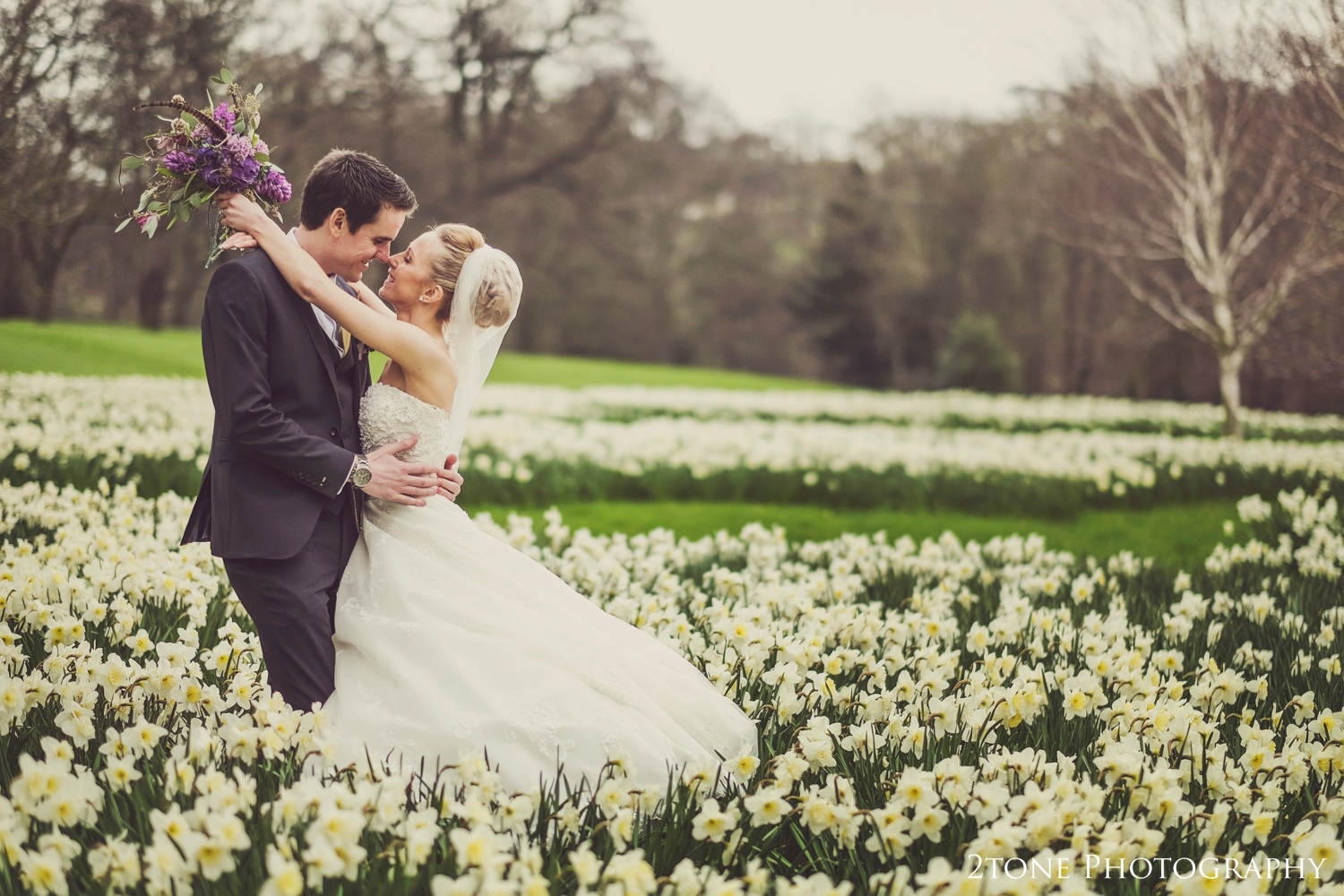 Daffodils at Wynyard Hall
