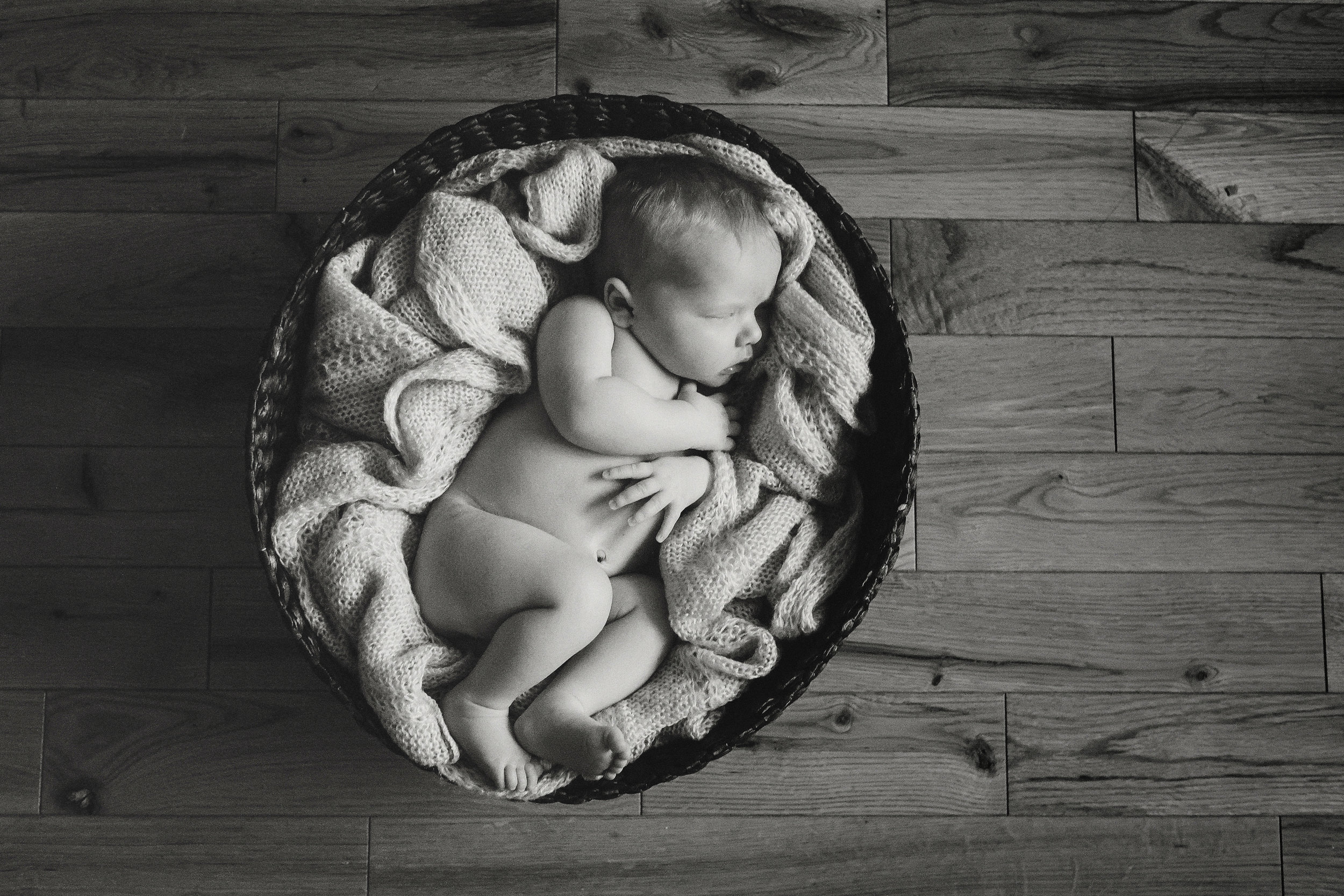 Posed Newborn Photography 37.jpg
