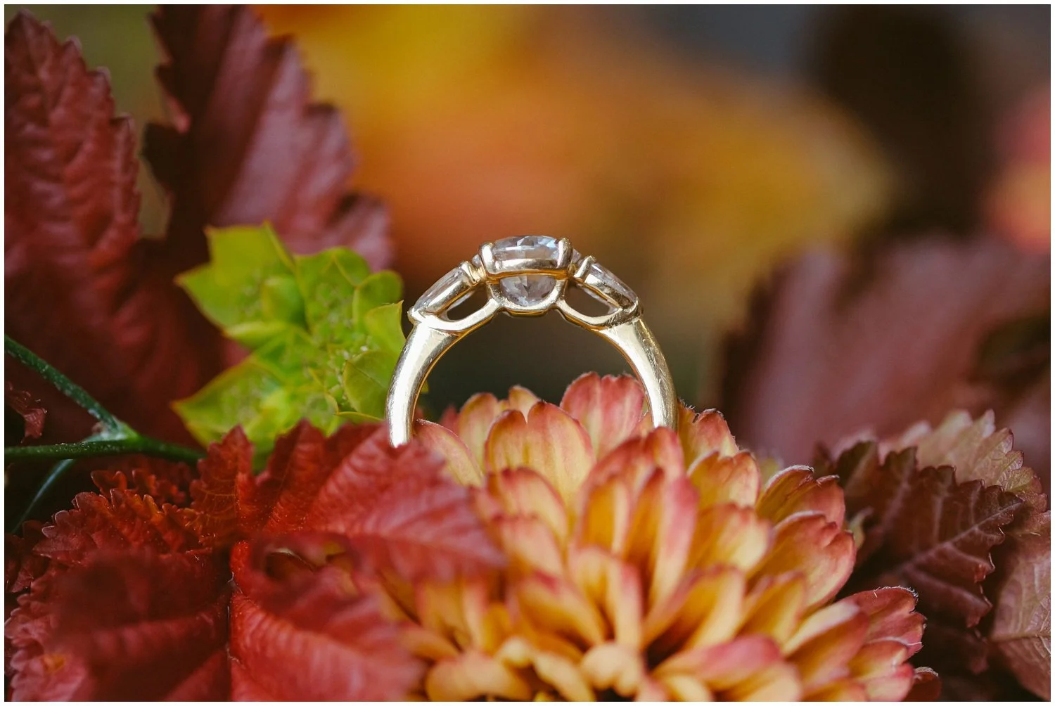 Hexham_winter_gardens_wedding_photos_lizzie_andrew 004.JPG