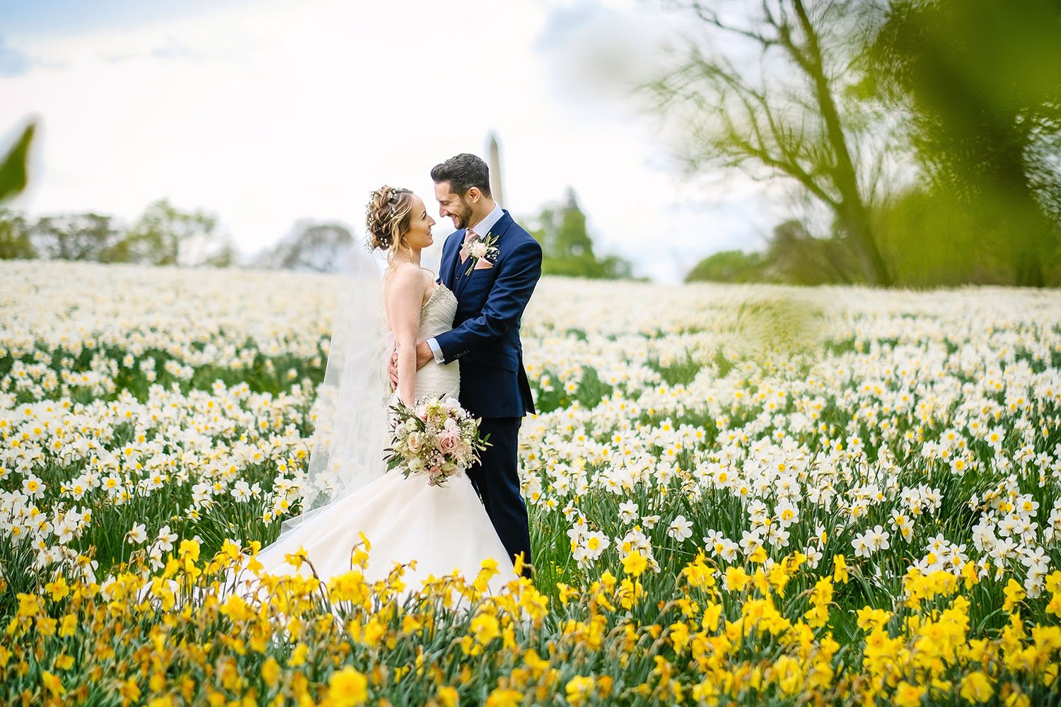 Wynyard Hall wedding: bride and groom embracing in a field of white and yellow daffodils