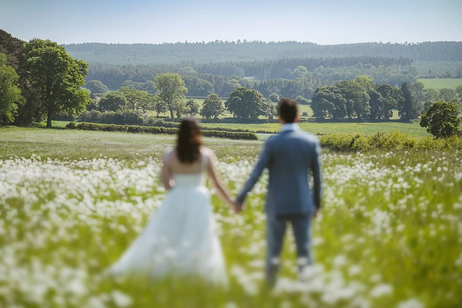Healey Barn wedding: bride and groom walking hand in hand through a meadow of white flowers, seen from behind.