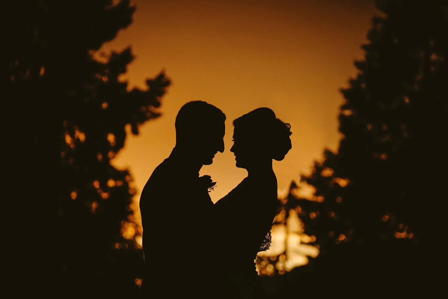 Wynyard Hall wedding: bride and groom in silhouette against a golden orange sunset sky