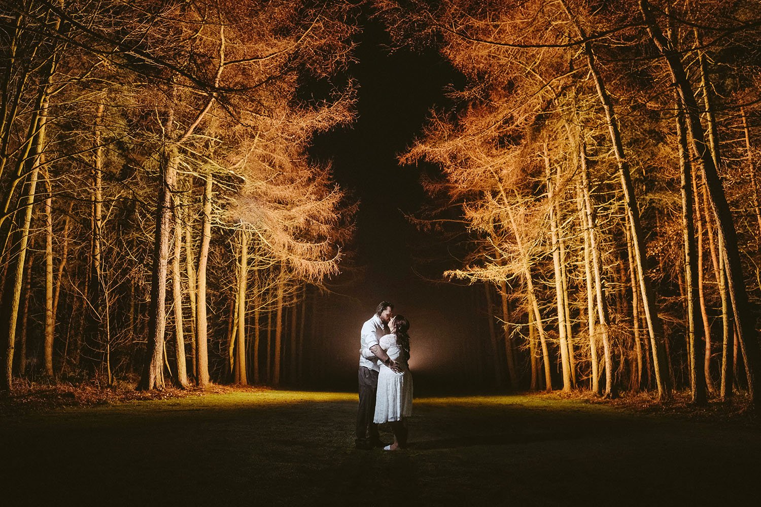 Shotton Grange wedding: bride and groom embracing at night in an avenue of pine trees lit in orange.