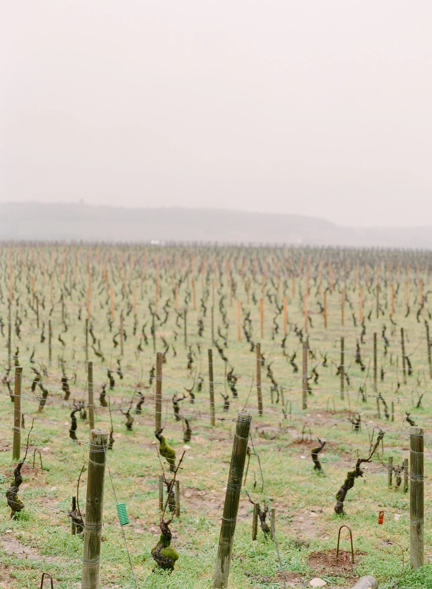 France-Adventures-By-The-Happy-Bloom-46.jpg