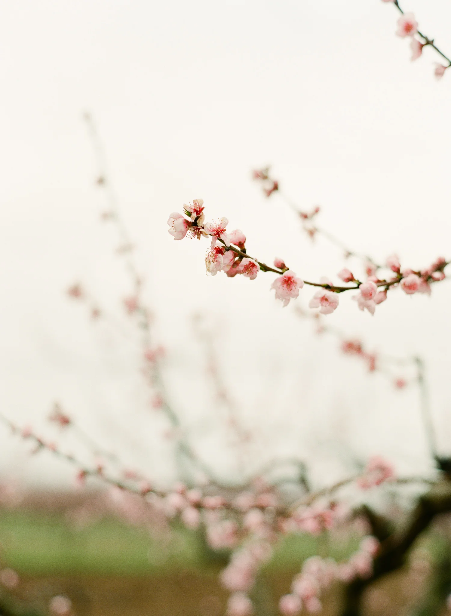 France-Adventures-By-The-Happy-Bloom-72.jpg