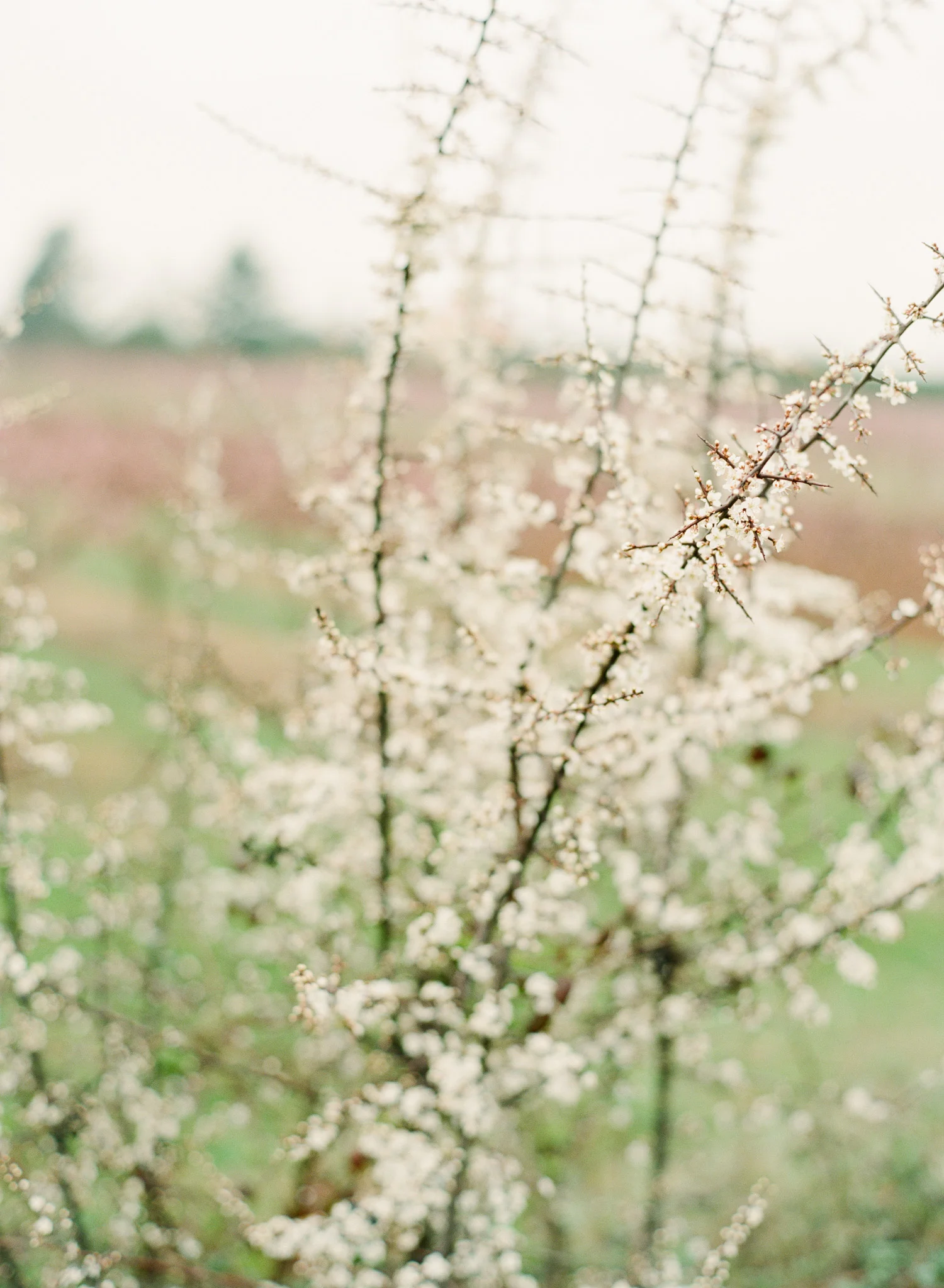 France-Adventures-By-The-Happy-Bloom-74.jpg