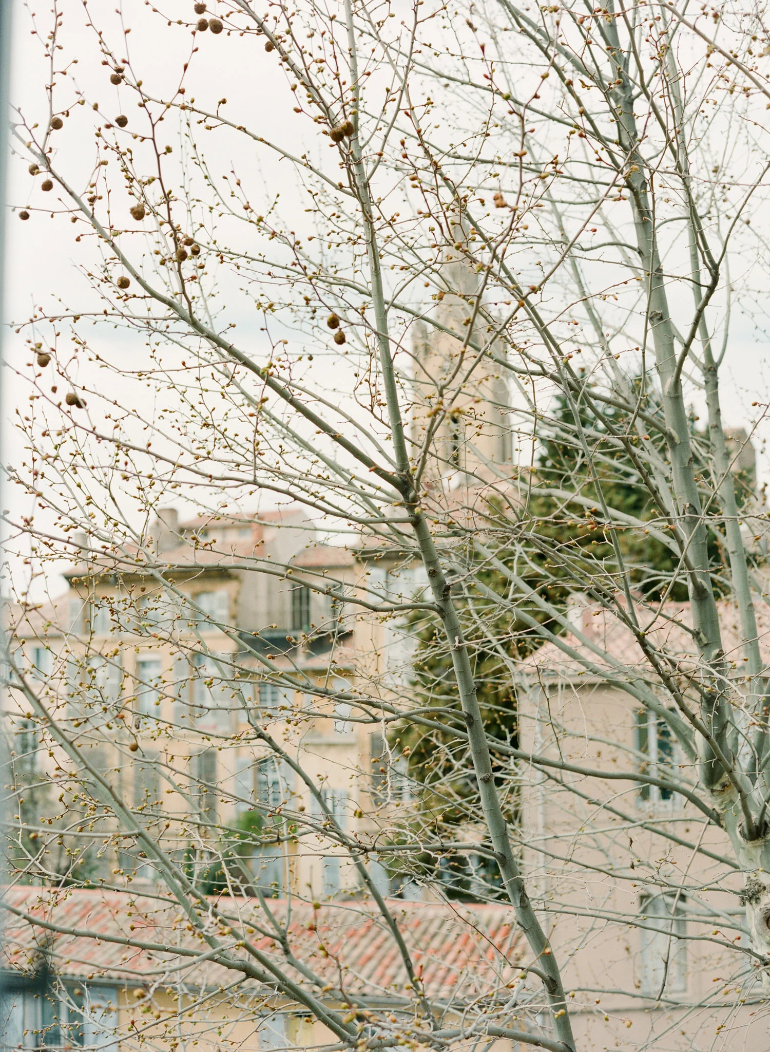 France-Adventures-By-The-Happy-Bloom-96.jpg
