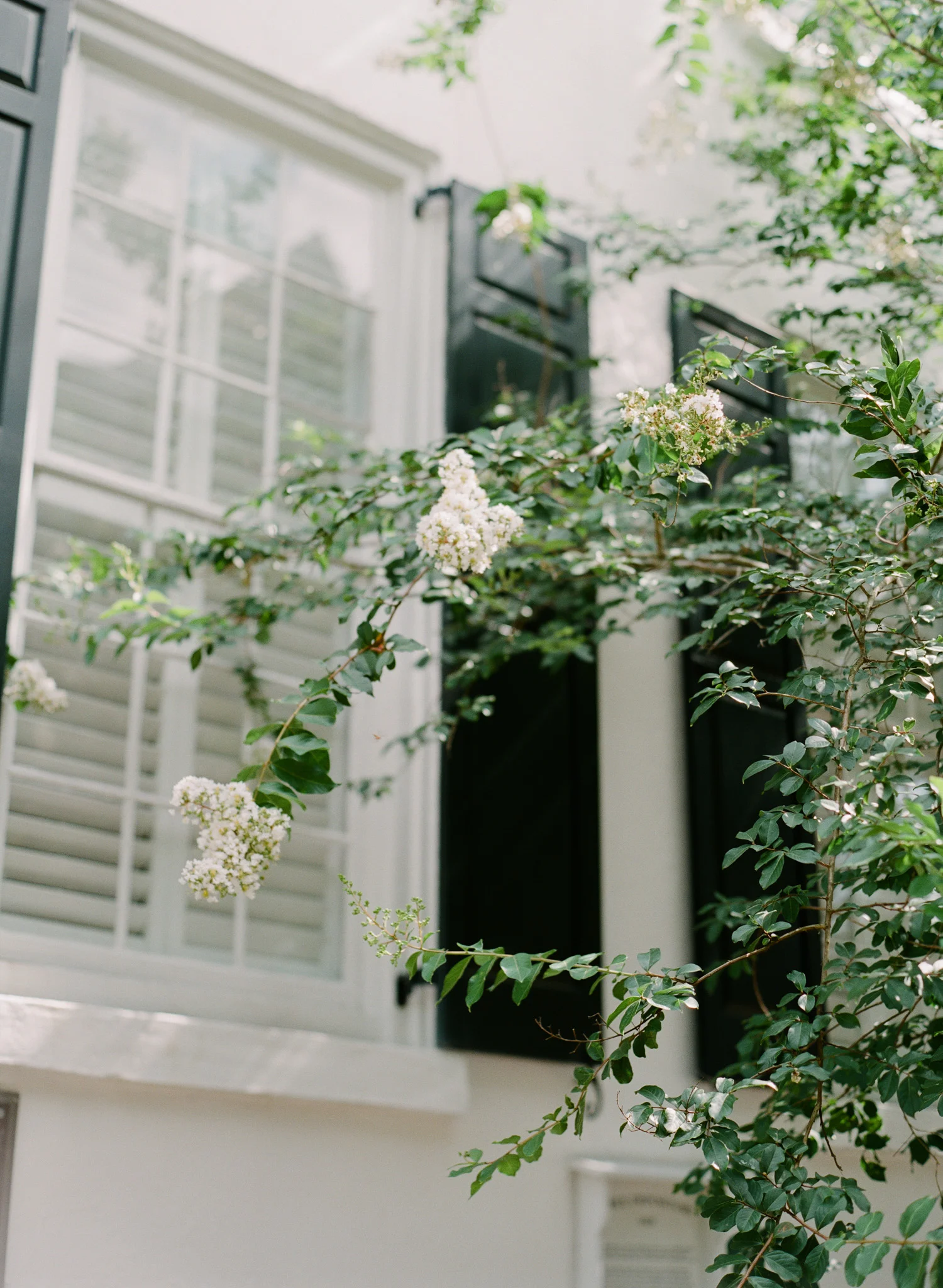 Charleston-Wedding-Photographer-The-Cedar-Room-49.jpg