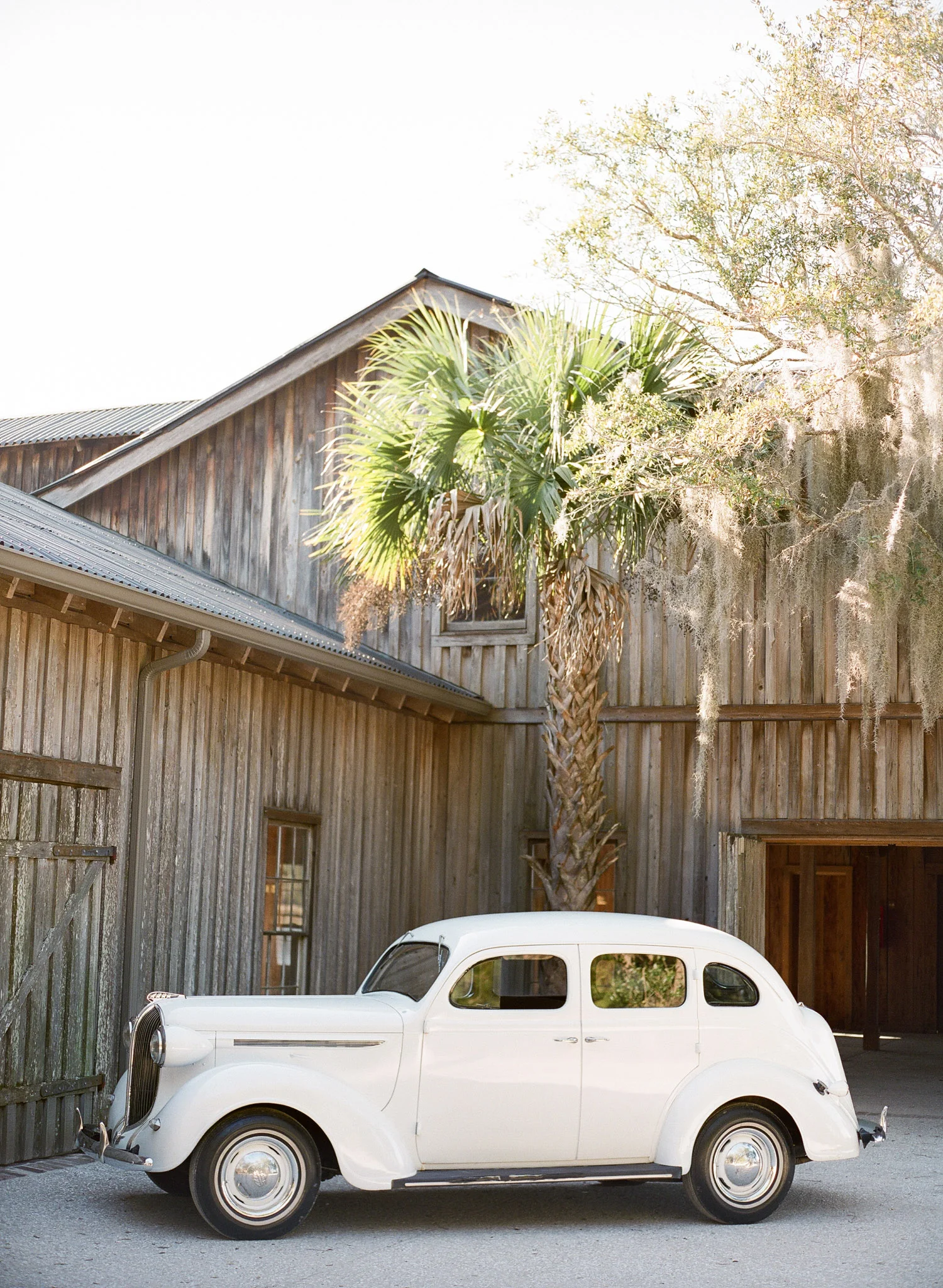Charleston-Wedding-Venue-Boone-Hall-1.jpg