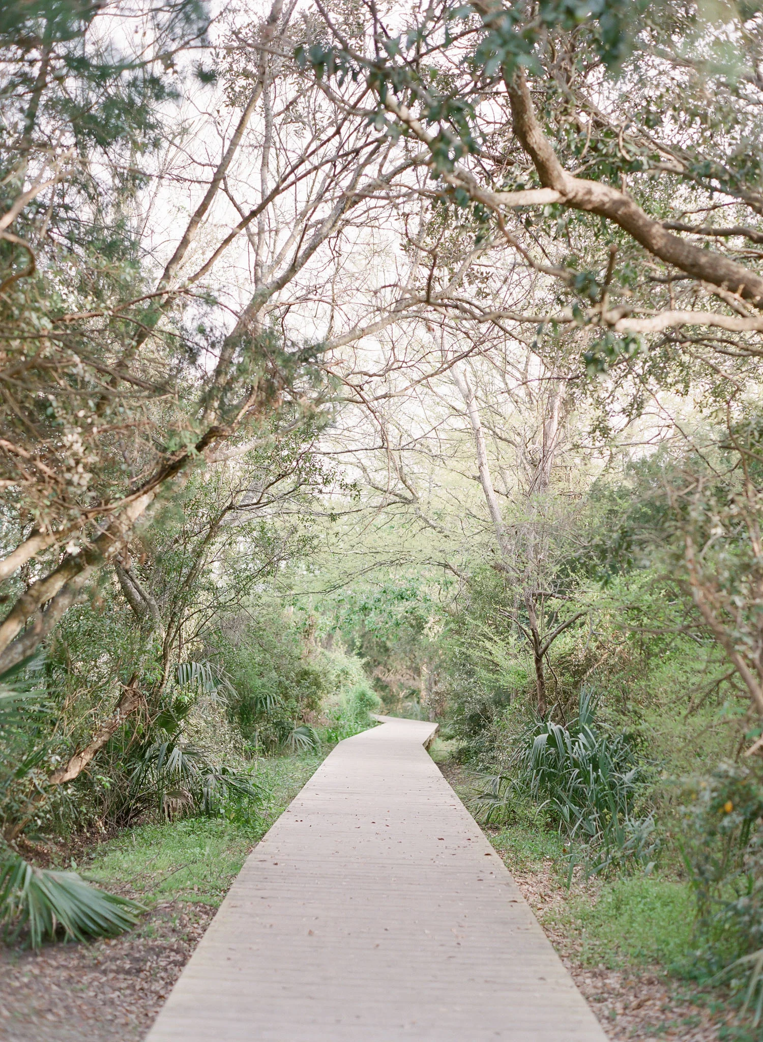 Charleston-Engagement-Session-Photos-35.jpg