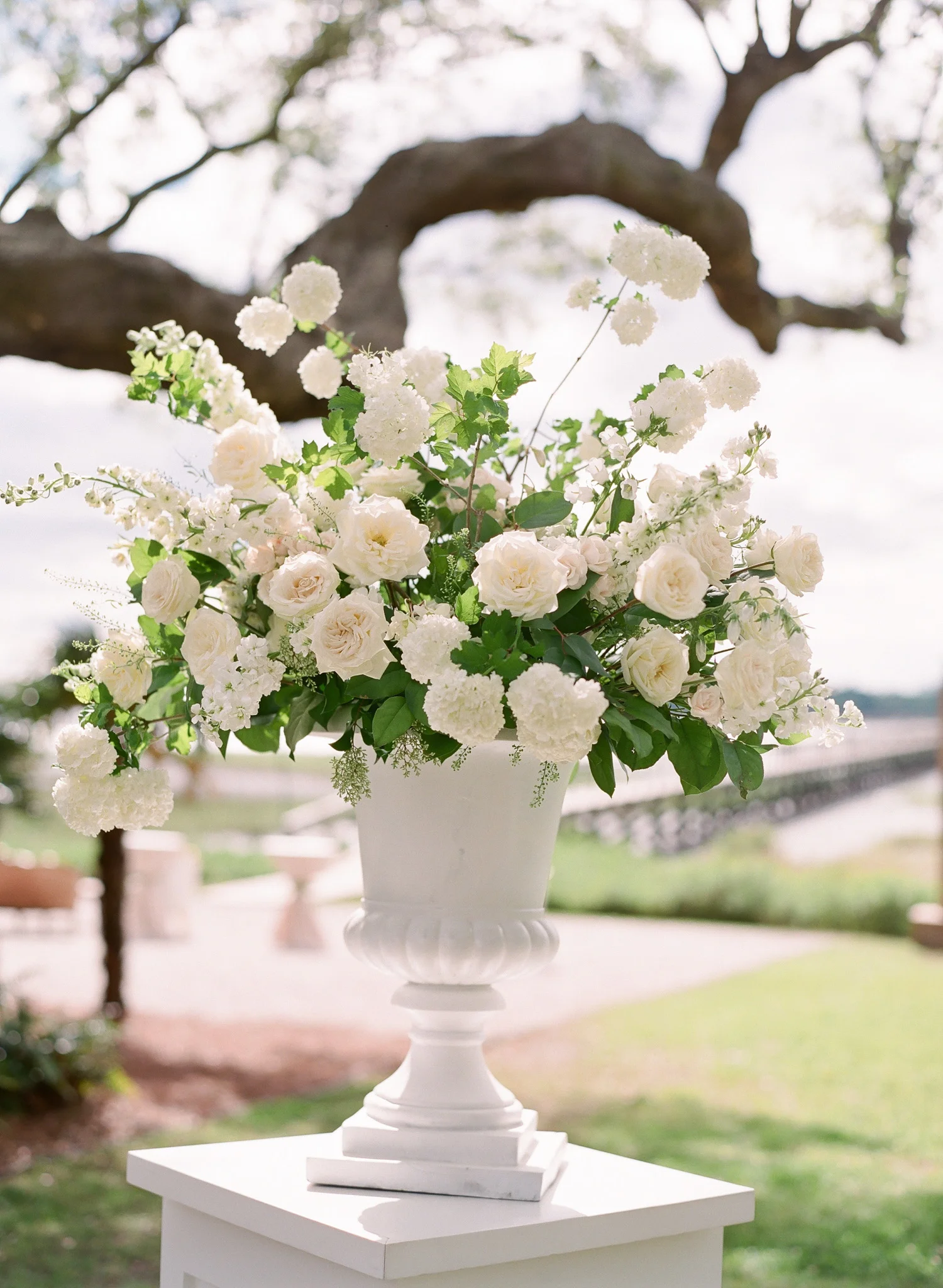 Charleston-Wedding-Lowndes-Grove-65.jpg
